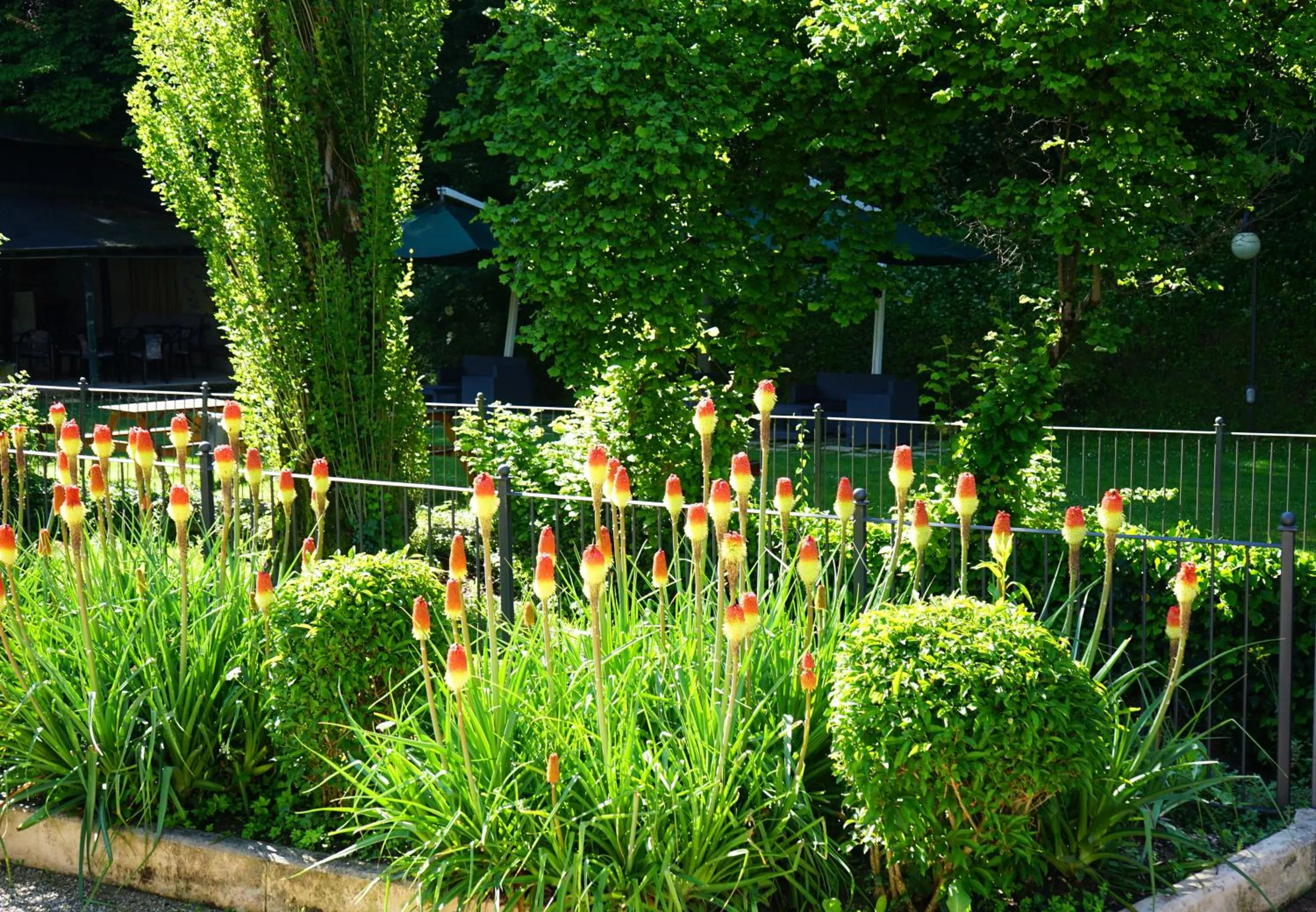 Garden in Guesia Village Hotel e Spa