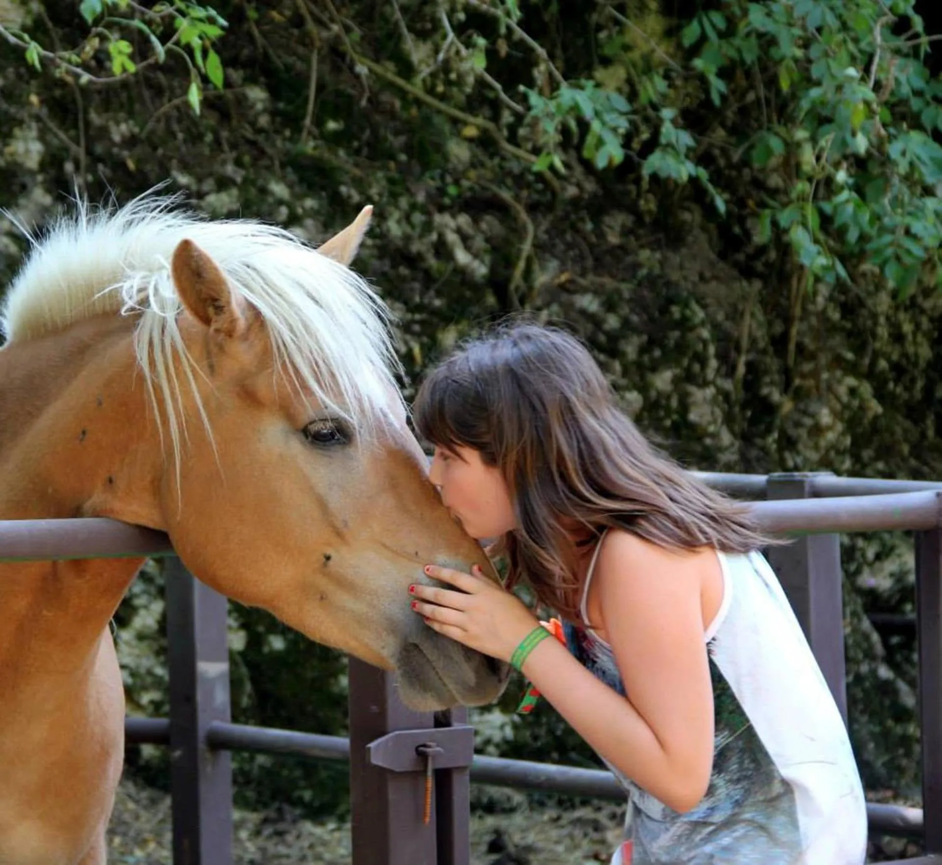Horse-riding in Guesia Village Hotel e Spa