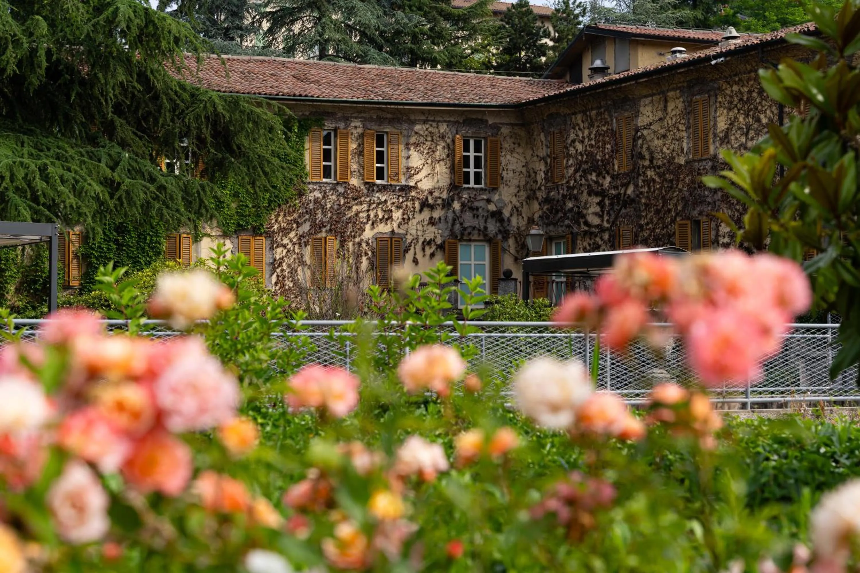 Property building in Hotel San Pancrazio