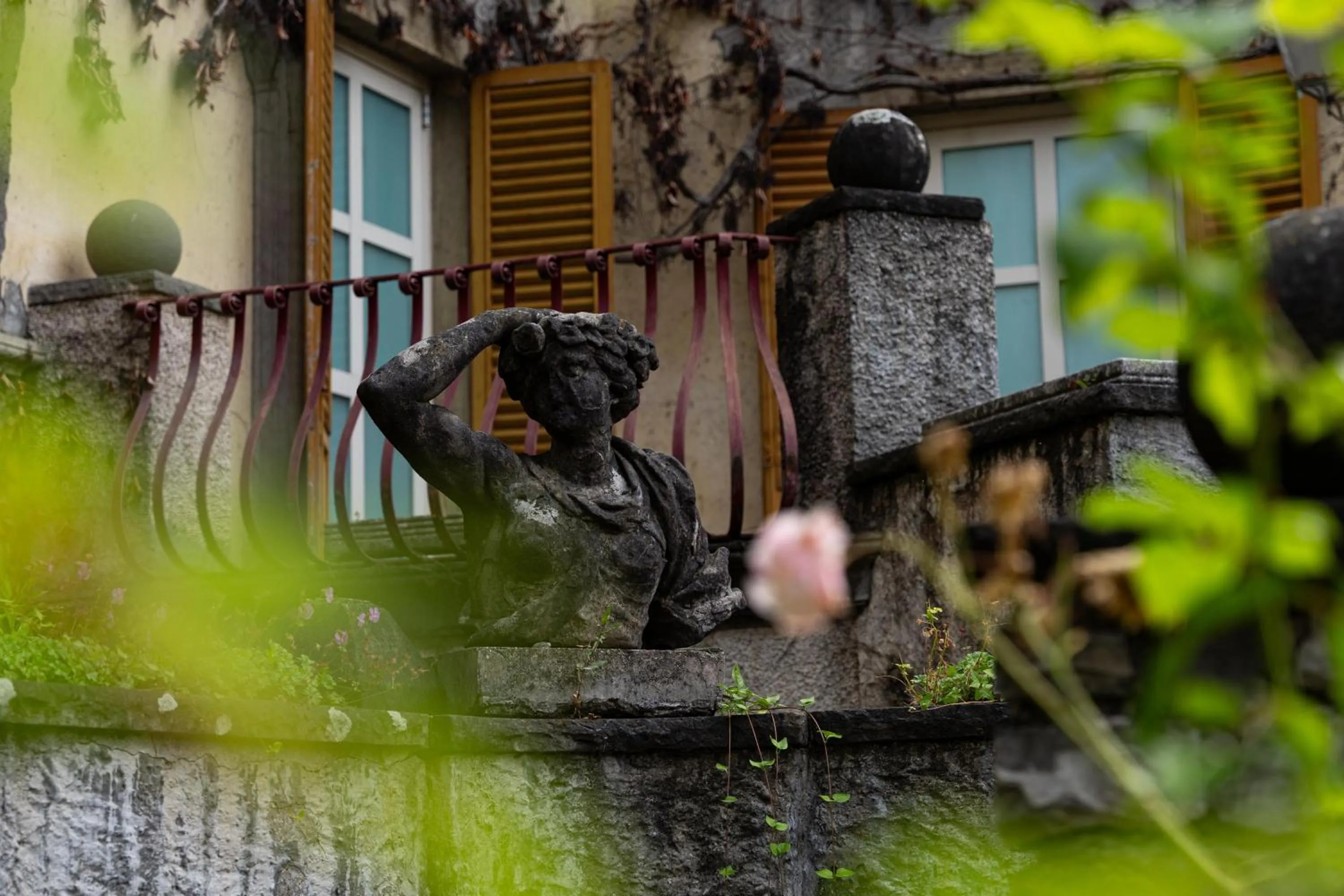 Pets in Hotel San Pancrazio