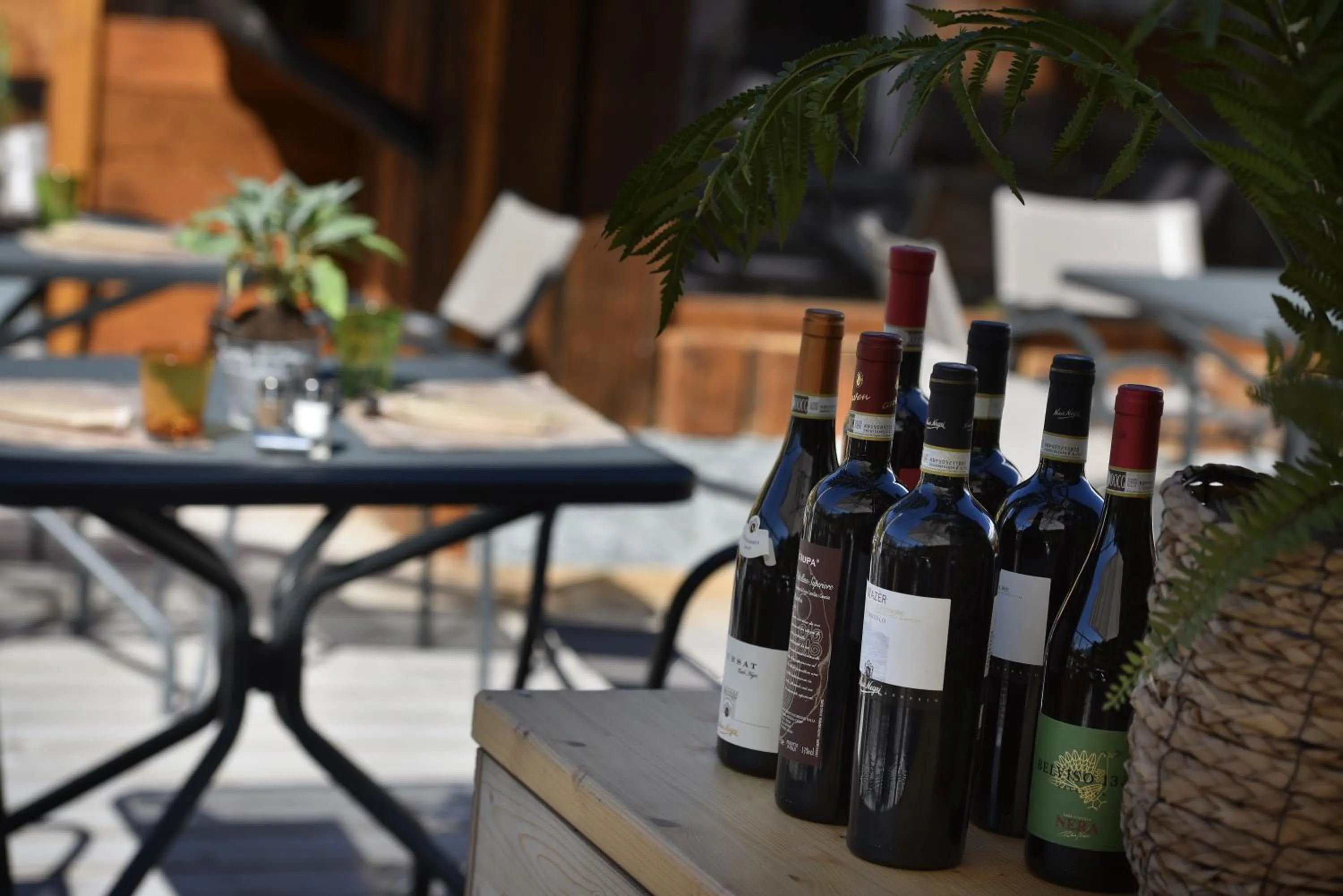 Restaurant/places to eat in Hotel Galli's - Centro