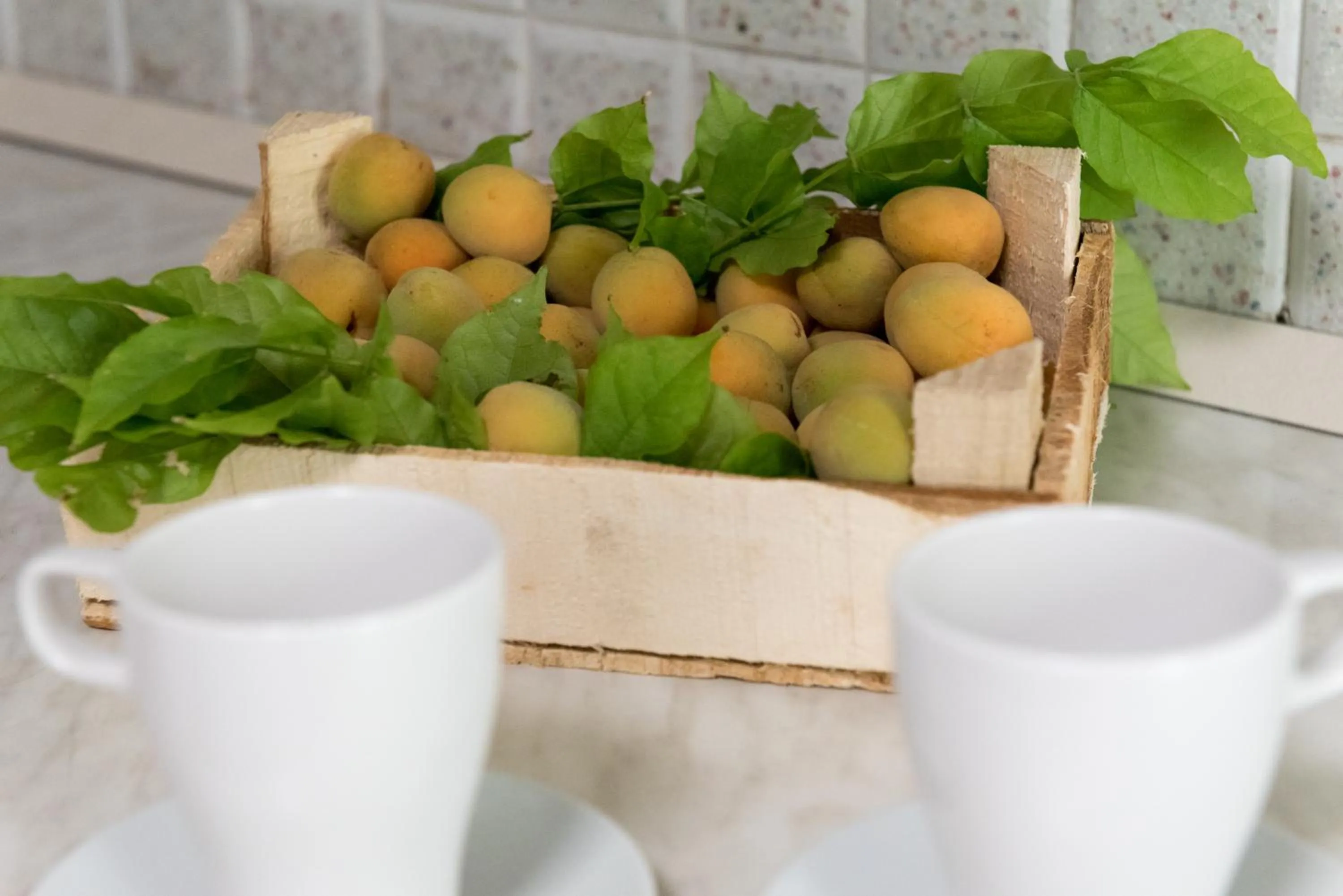 Food close-up in Relais Regina Rosanna