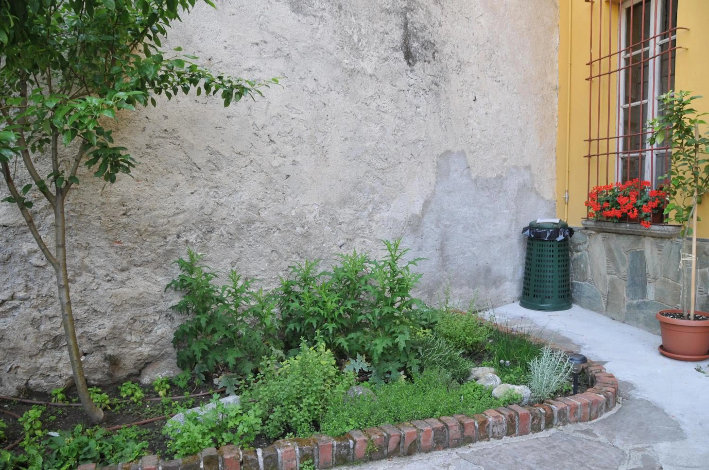 Garden in VILLA VINICIA, pool, jacuzzi, airco