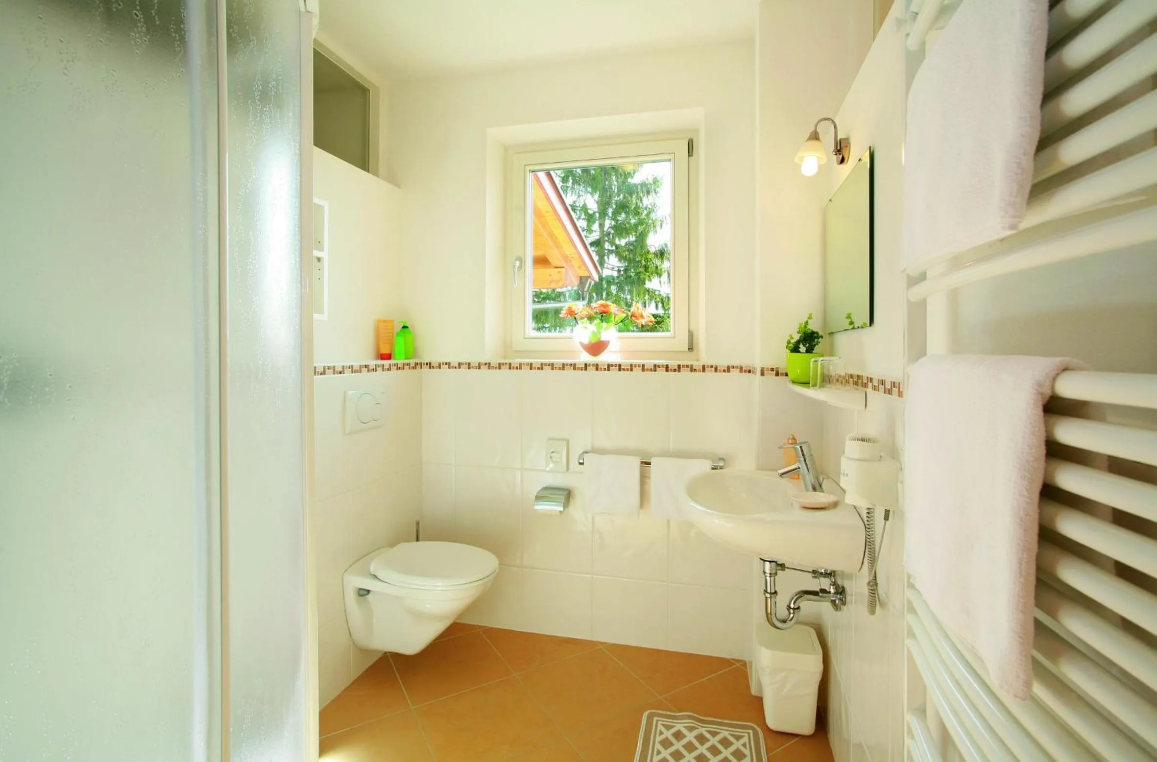 Bathroom in Hotel Haselried