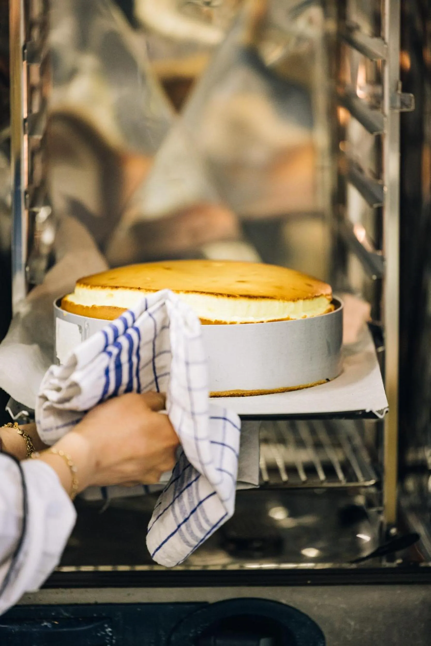 Restaurant/places to eat in Hotel CampingPark Steiner