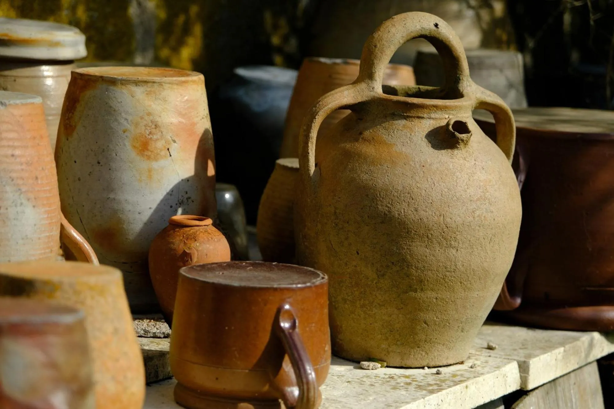 Garden view in Loge & Broc