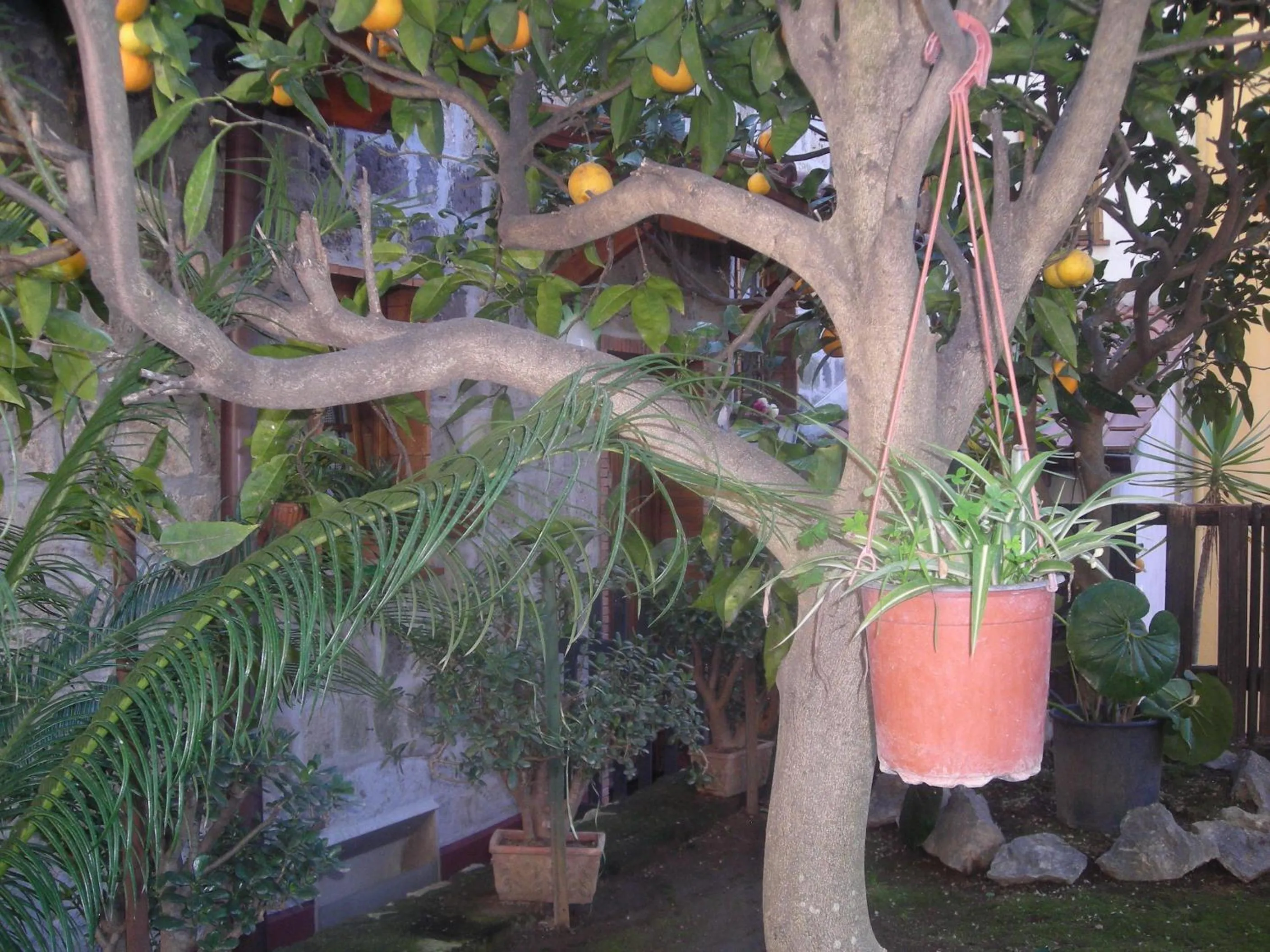 Garden in B&B L'Arcobaleno