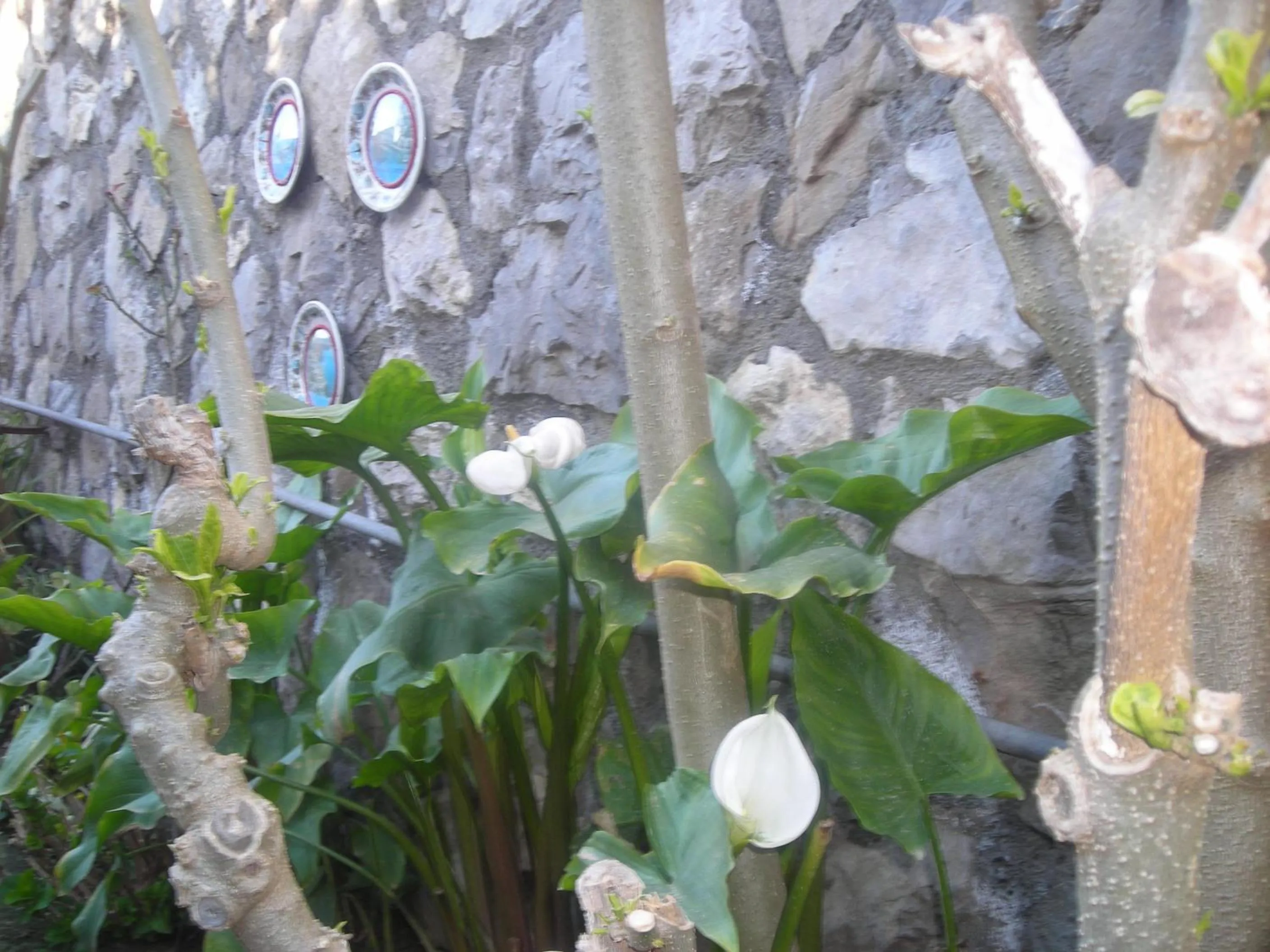 Garden in B&B L'Arcobaleno