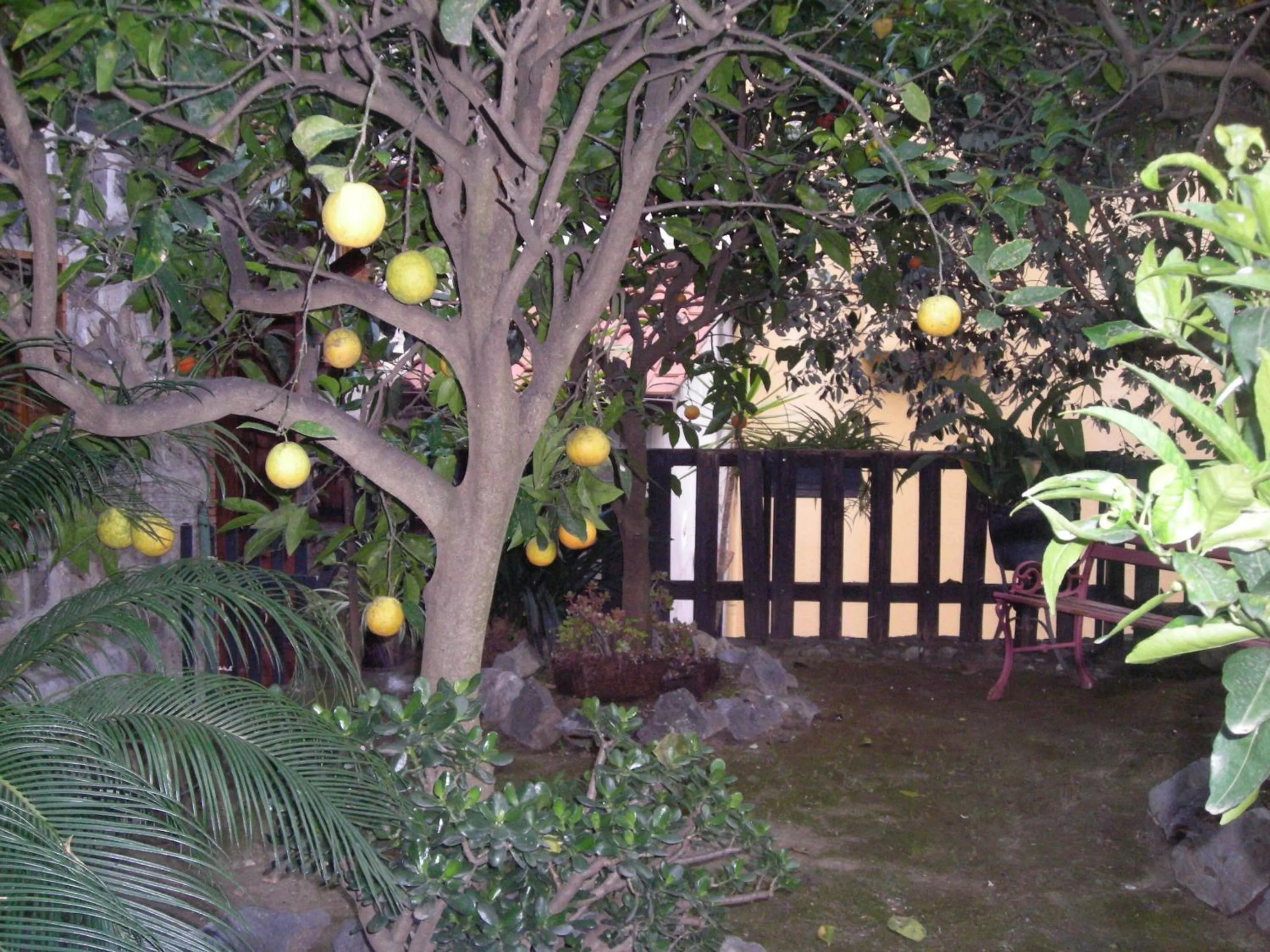 Garden in B&B L'Arcobaleno