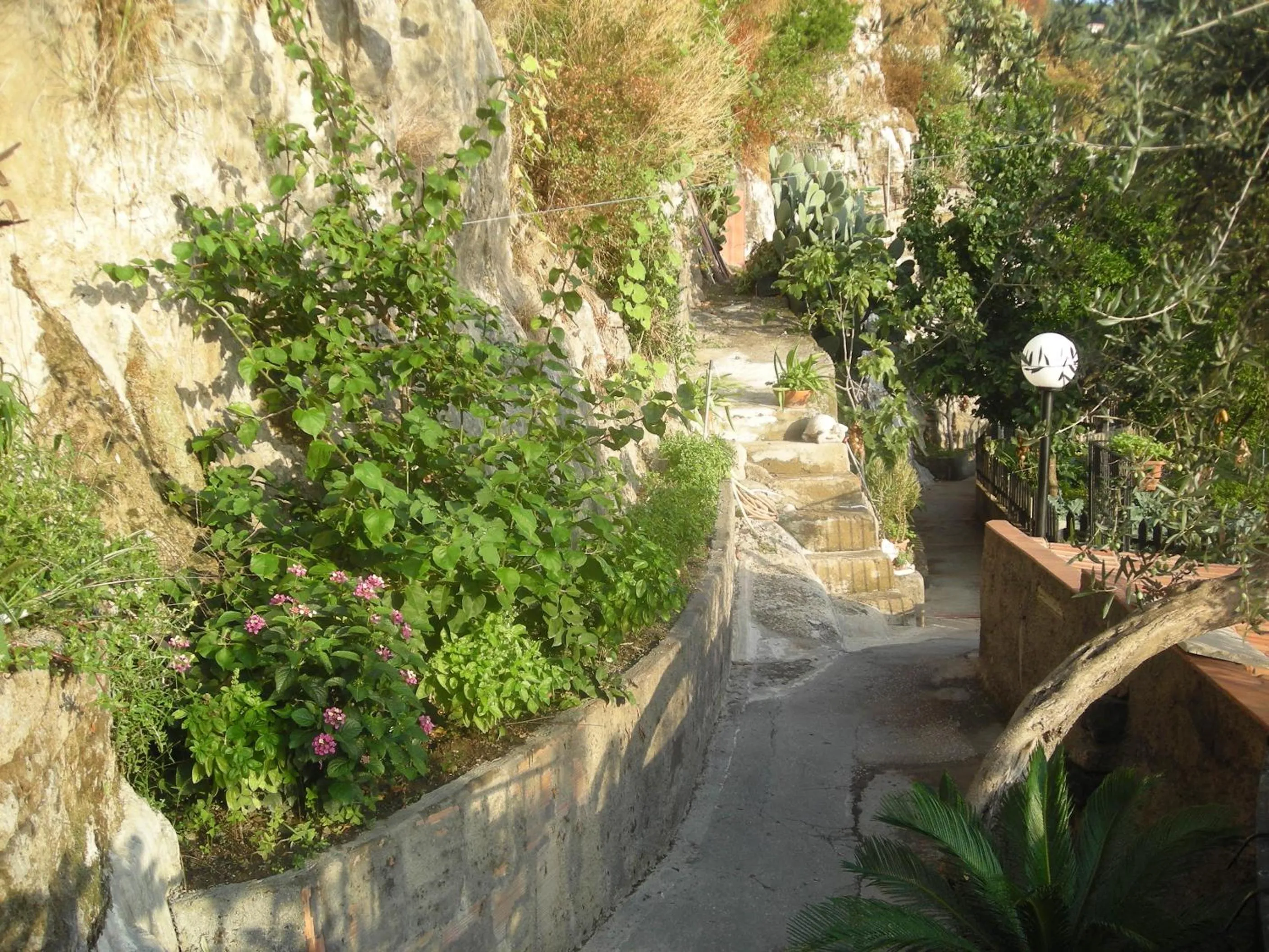 Garden in B&B L'Arcobaleno