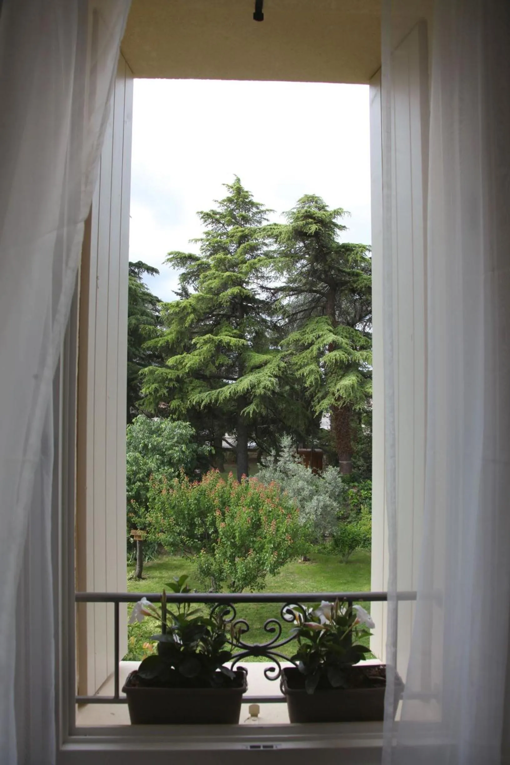 Garden view in Le Clos du Théron, chambre d'hôte