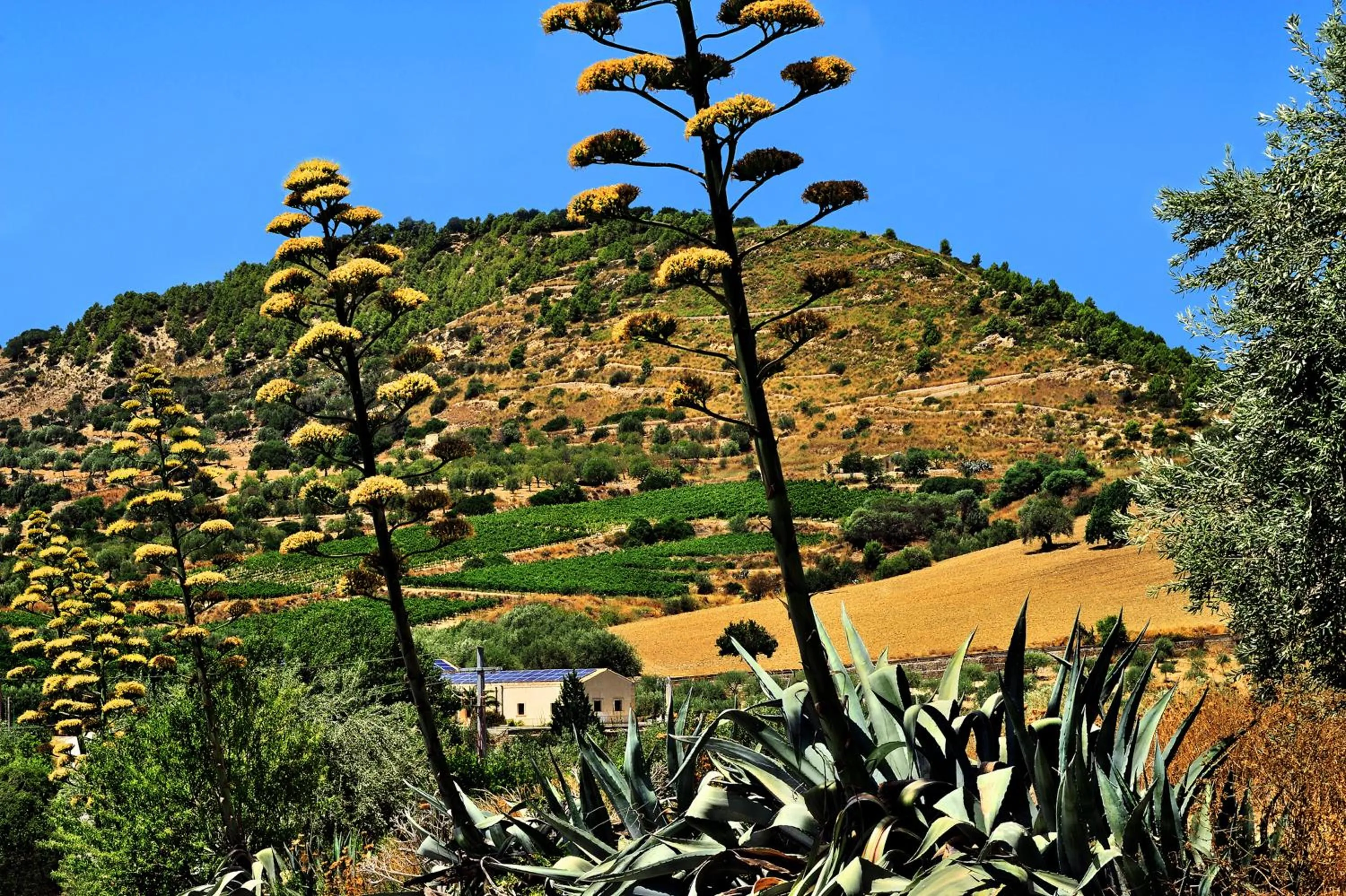Nearby landmark in Kallikoros Country Resort & Spa