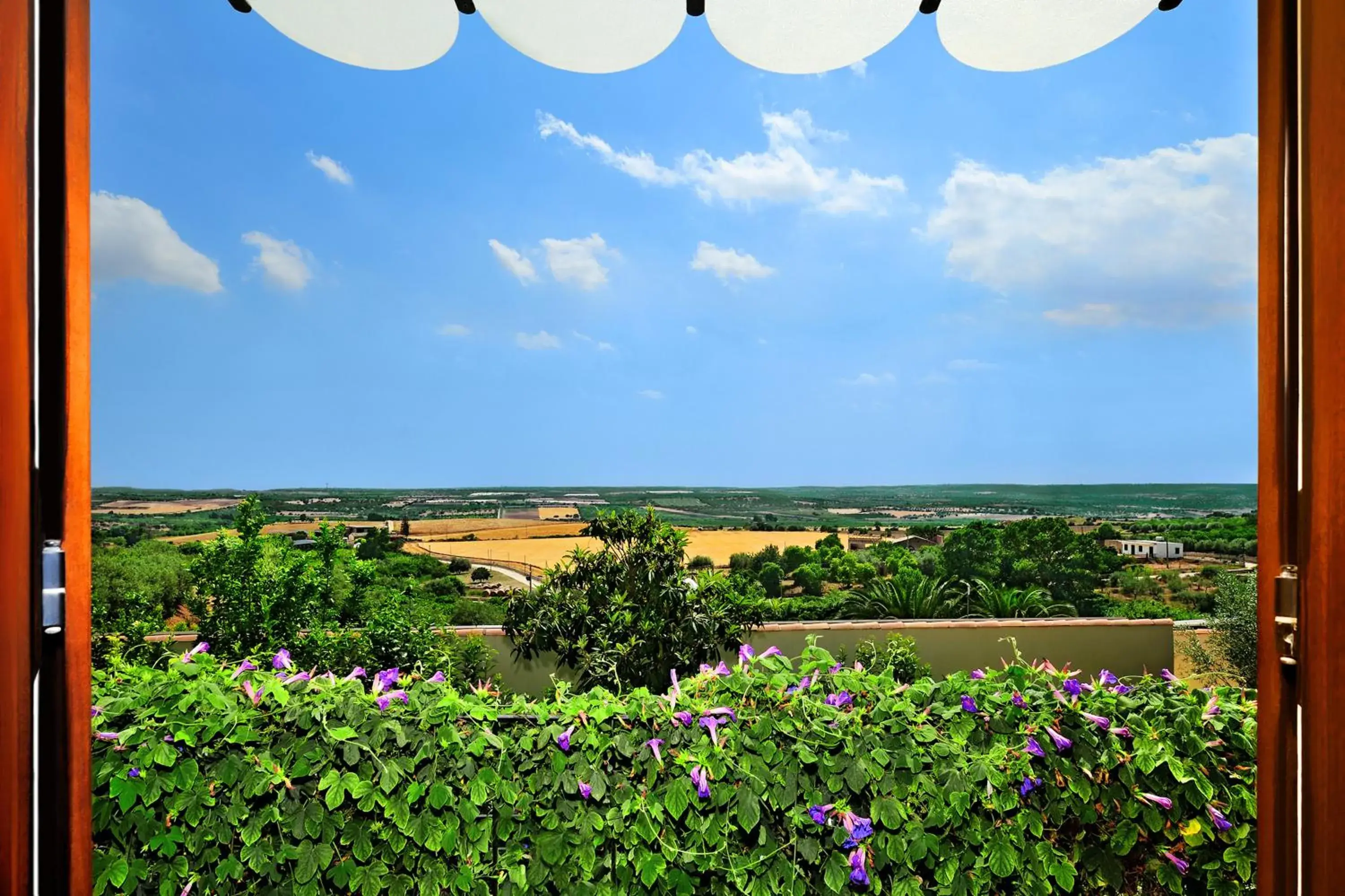 Comfort Double/Twin Room in Kallikoros Country Resort & Spa Comfort Double/Twin Room in Kallikoros Country Resort & Spa