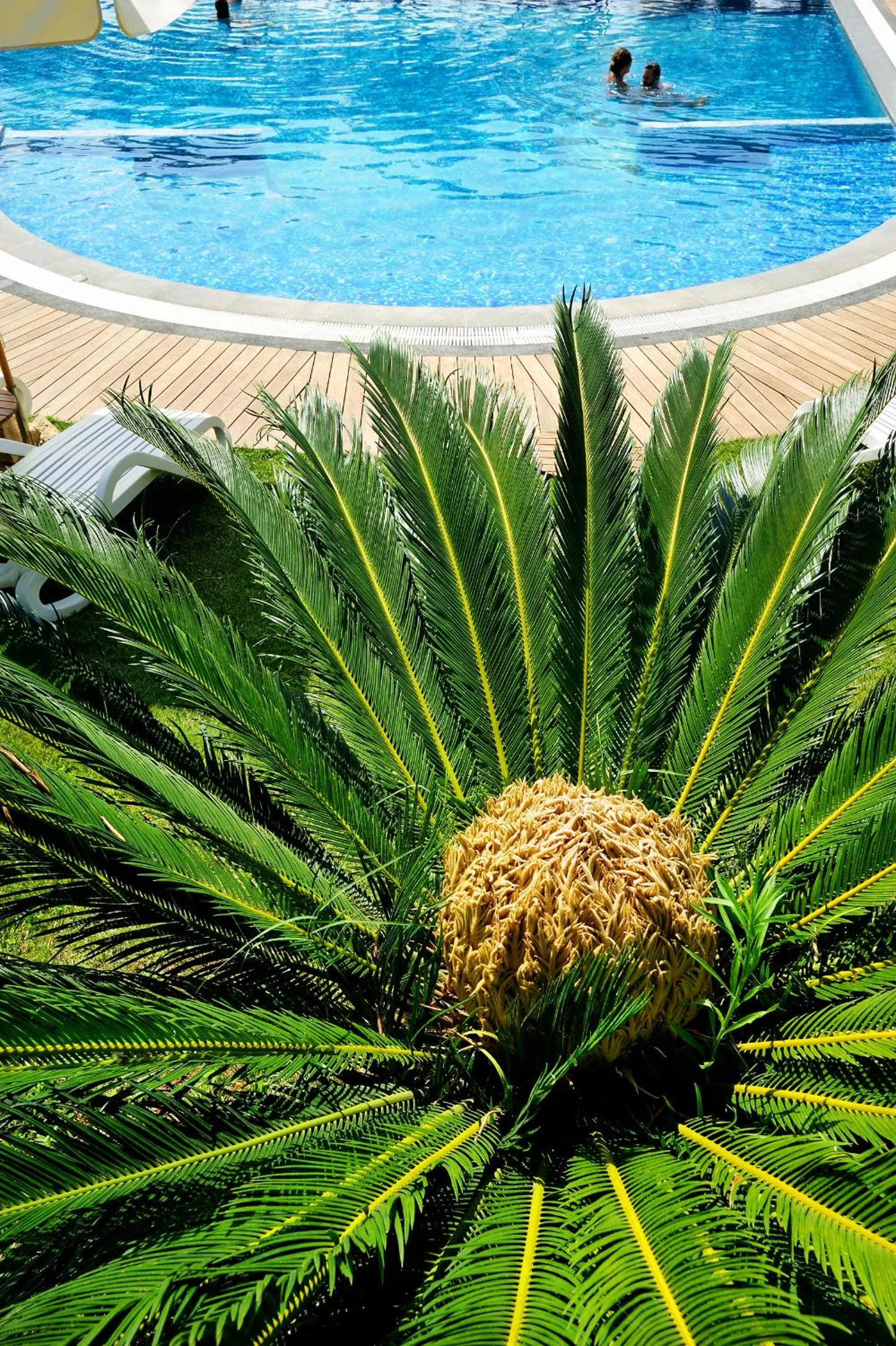 Spring in Kallikoros Country Resort & Spa