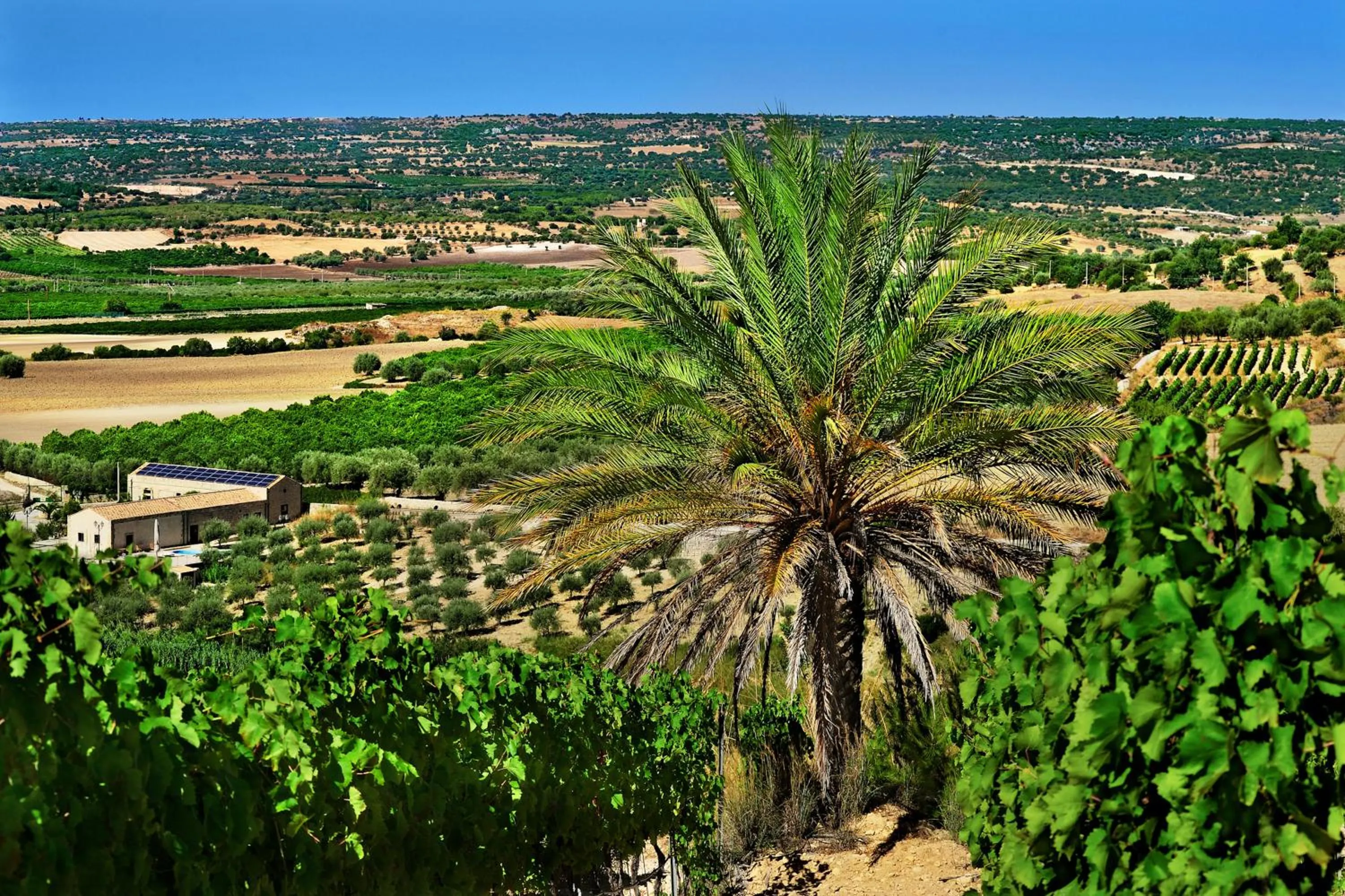 Spring in Kallikoros Country Resort & Spa