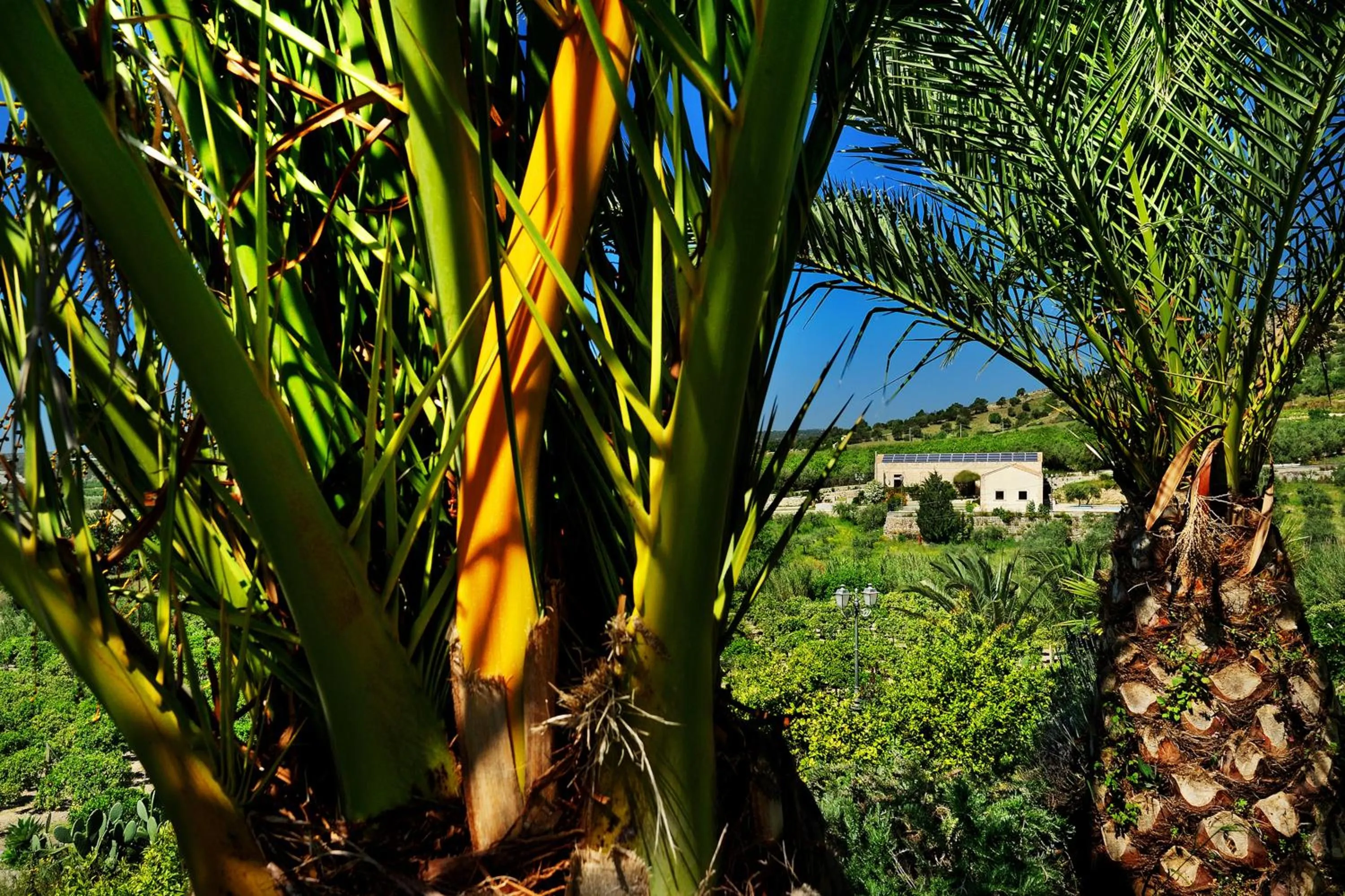 Spring in Kallikoros Country Resort & Spa