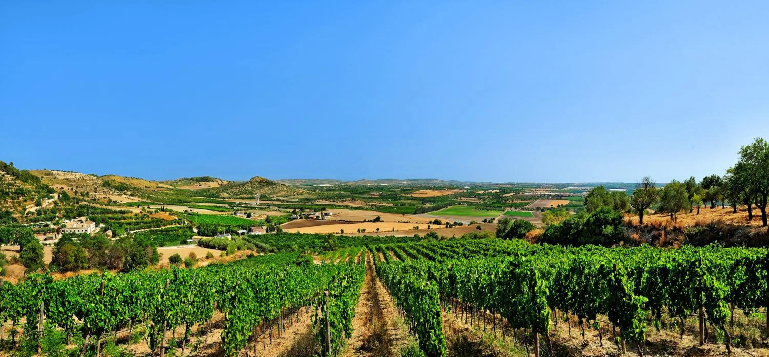 Nearby landmark in Kallikoros Country Resort & Spa