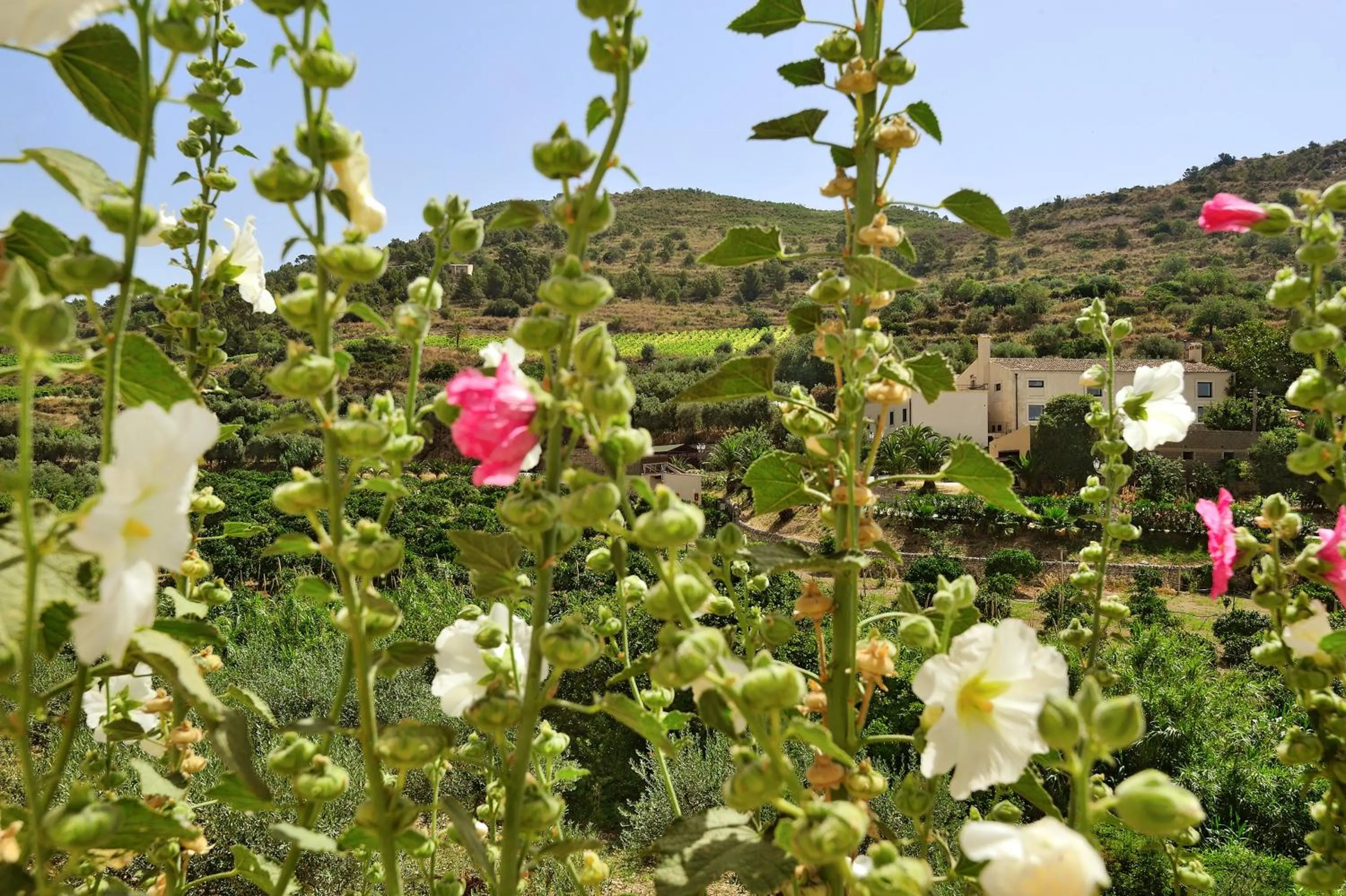 Spring in Kallikoros Country Resort & Spa