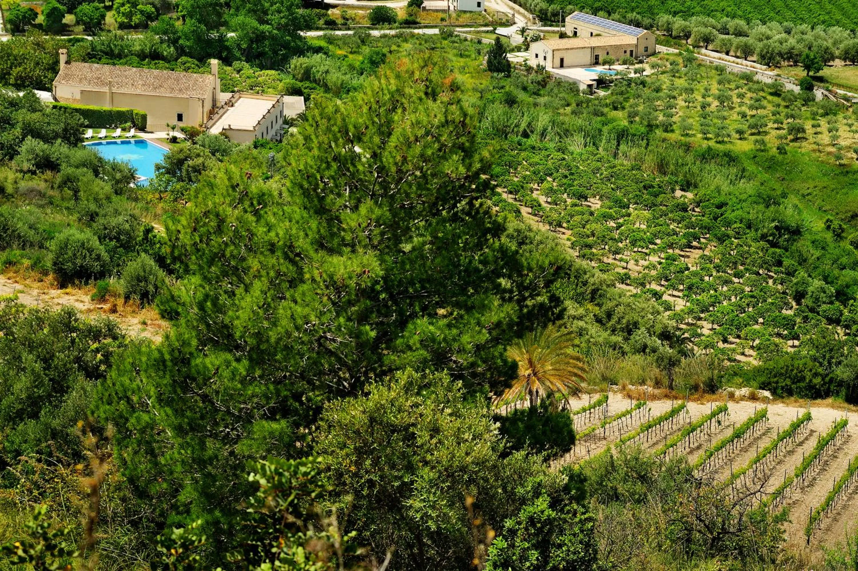 Spring in Kallikoros Country Resort & Spa