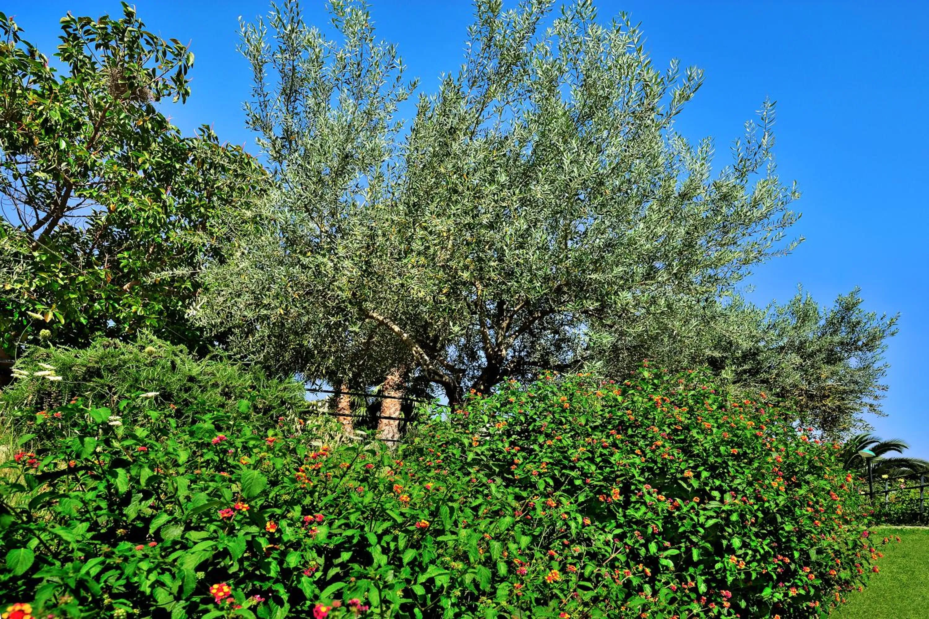 Spring in Kallikoros Country Resort & Spa