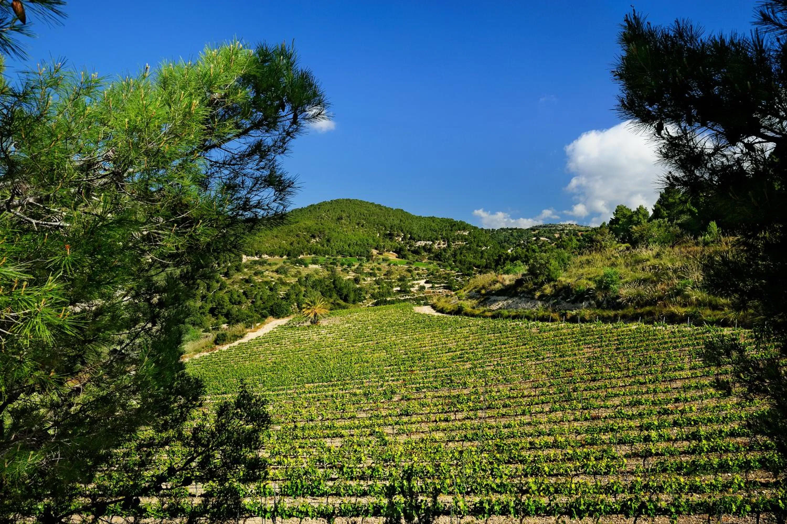 Nearby landmark in Kallikoros Country Resort & Spa