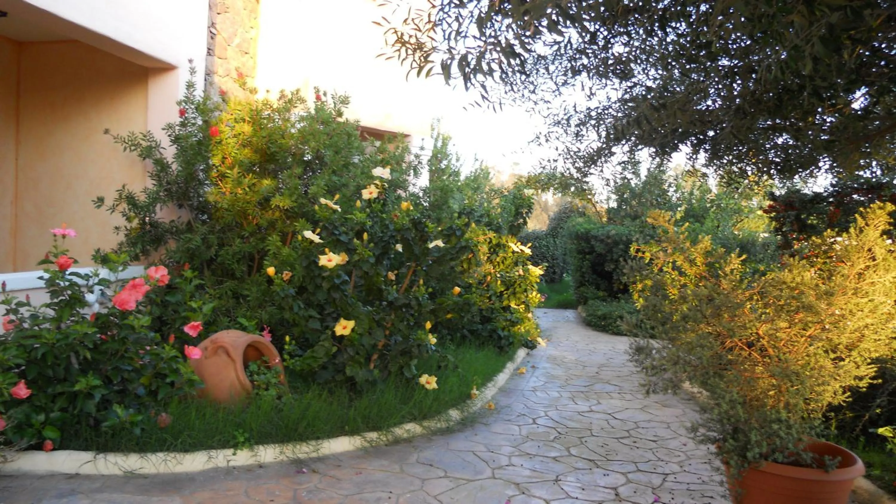 Garden in Maria Caderina Green Village