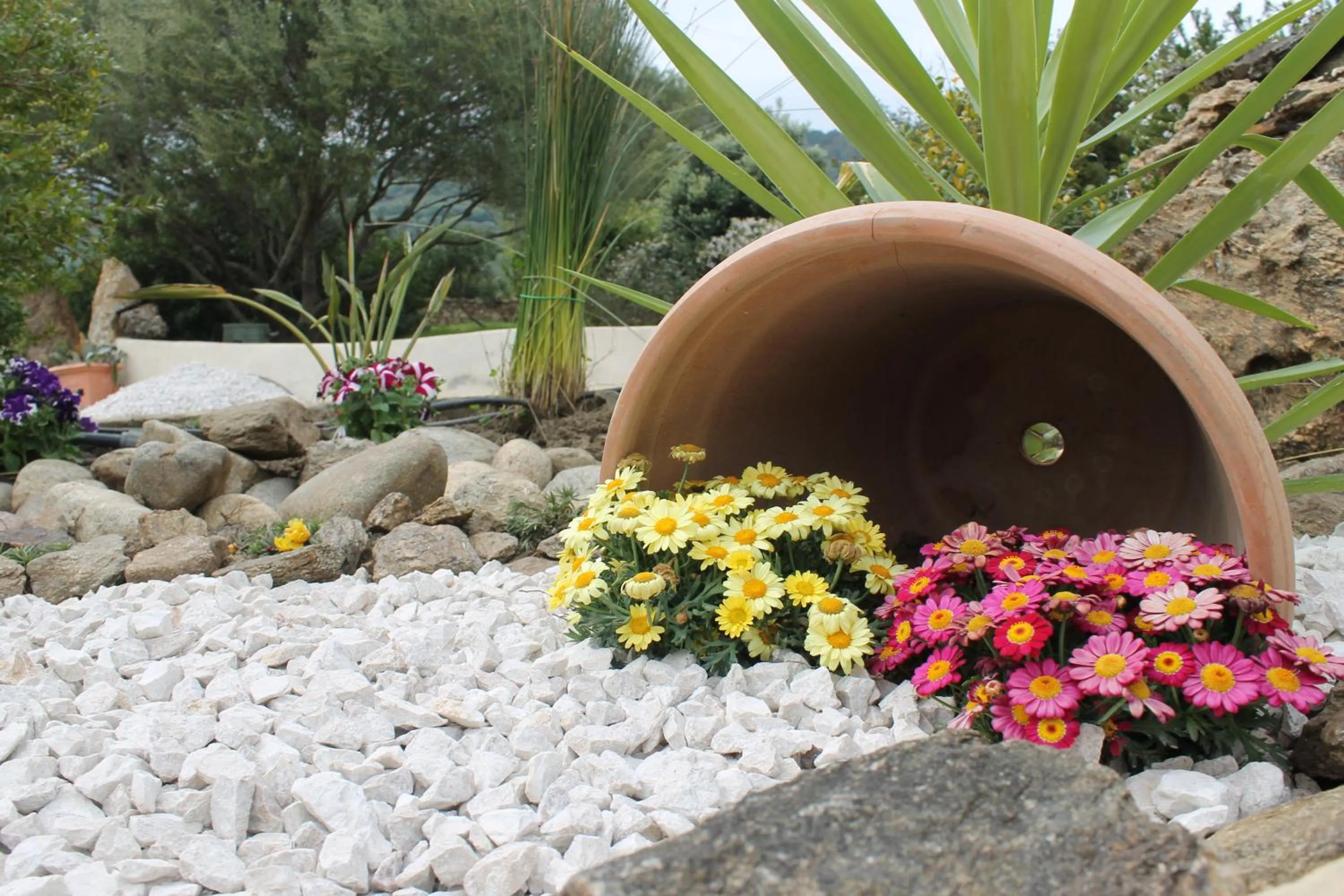 Garden in Maria Caderina Green Village