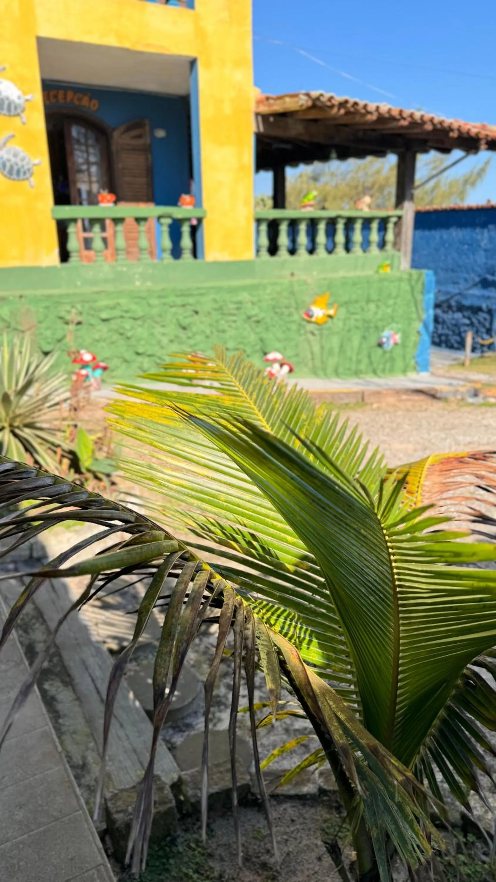 Pousada My House Cabo Frio