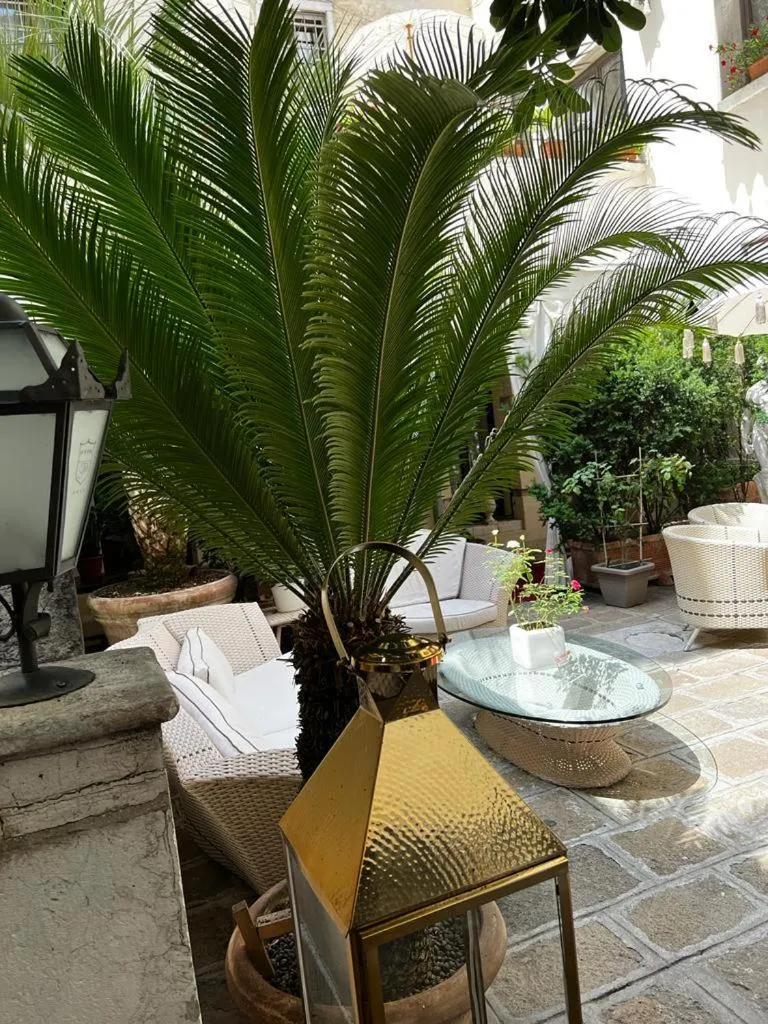 Patio in Palazzo Paruta & Wellness Suites