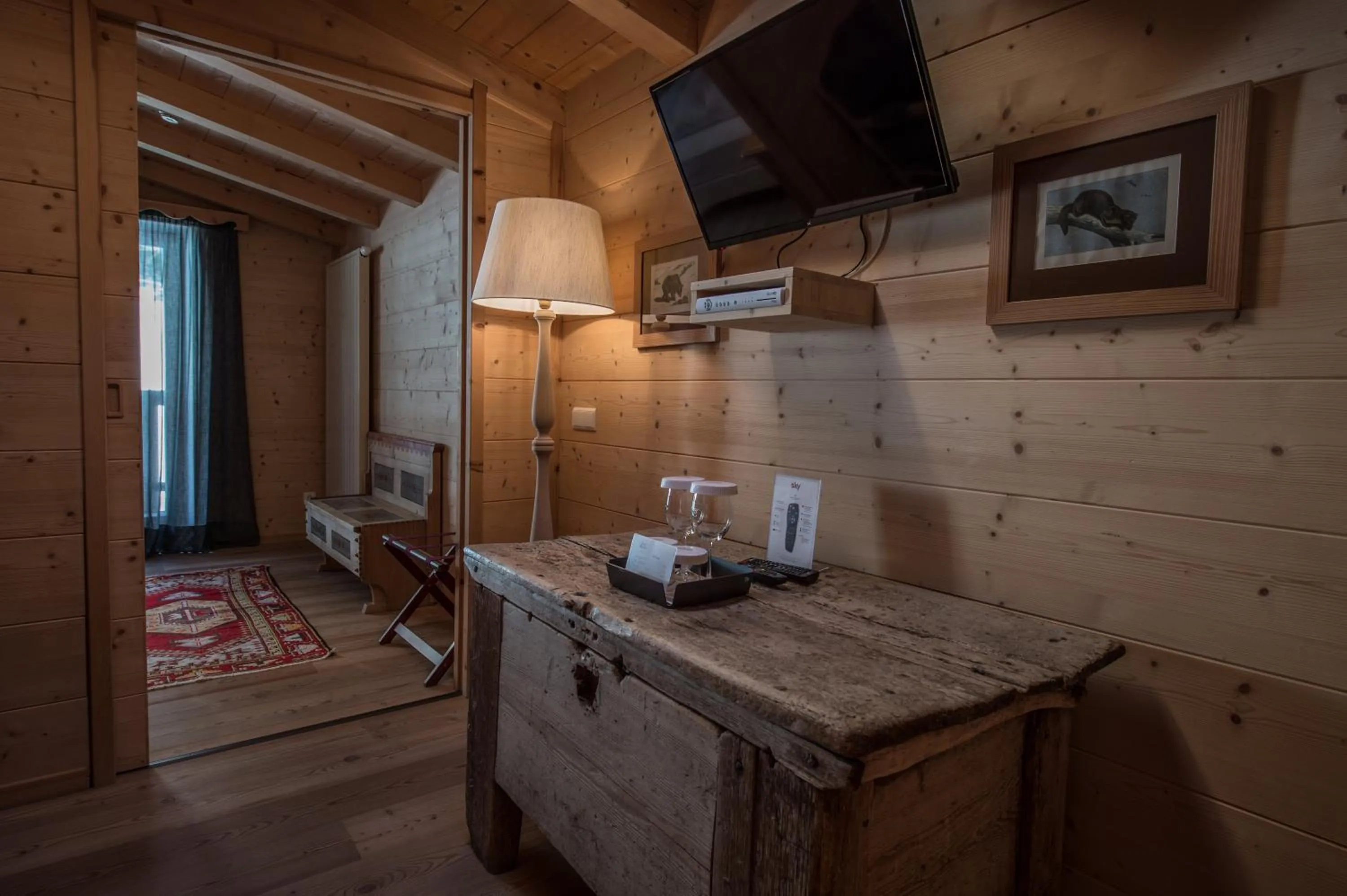 TV and multimedia in Hotel Ciasa Salares