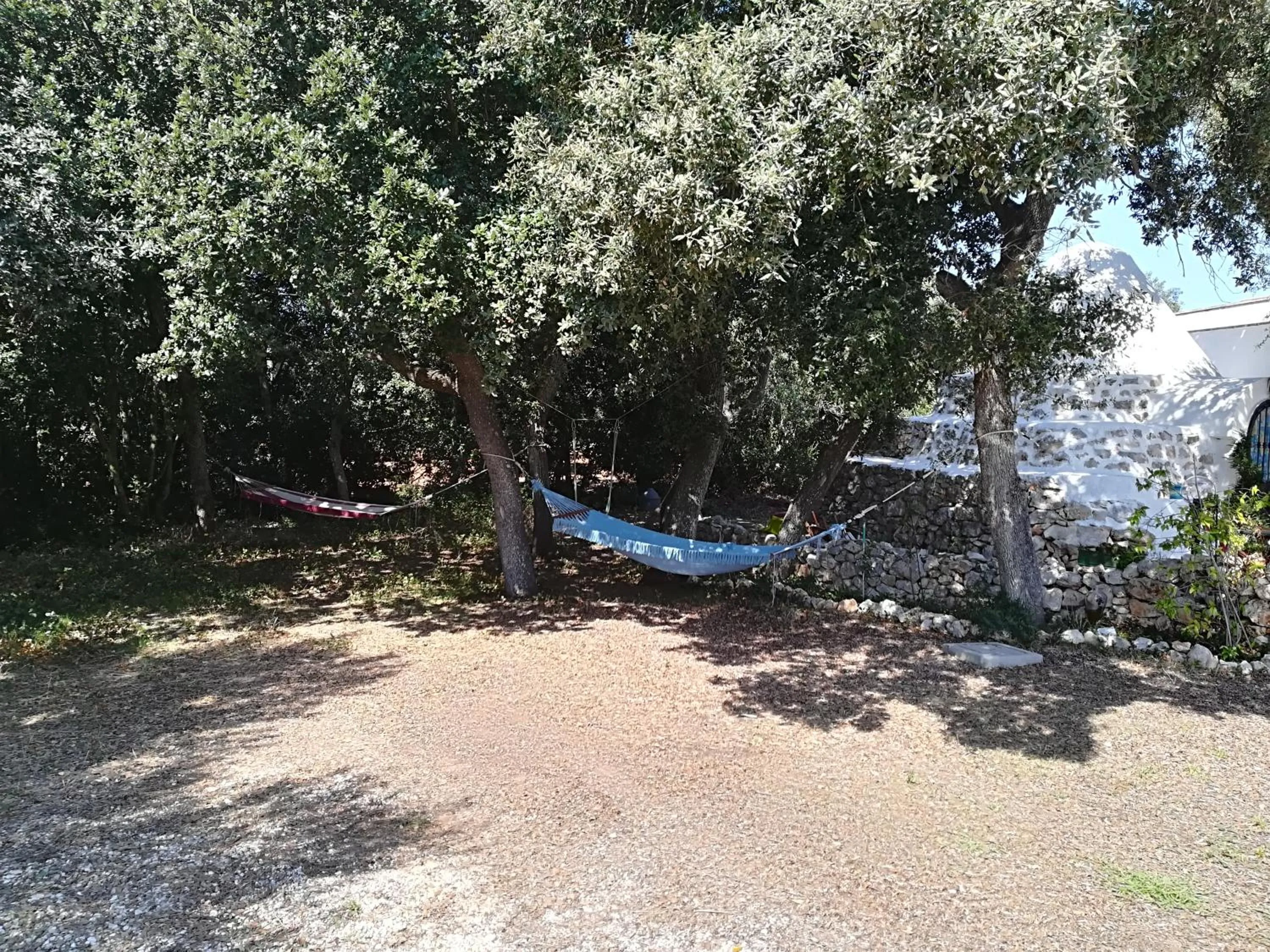 Garden view in Trullo Alessandro e Villa Raffaela