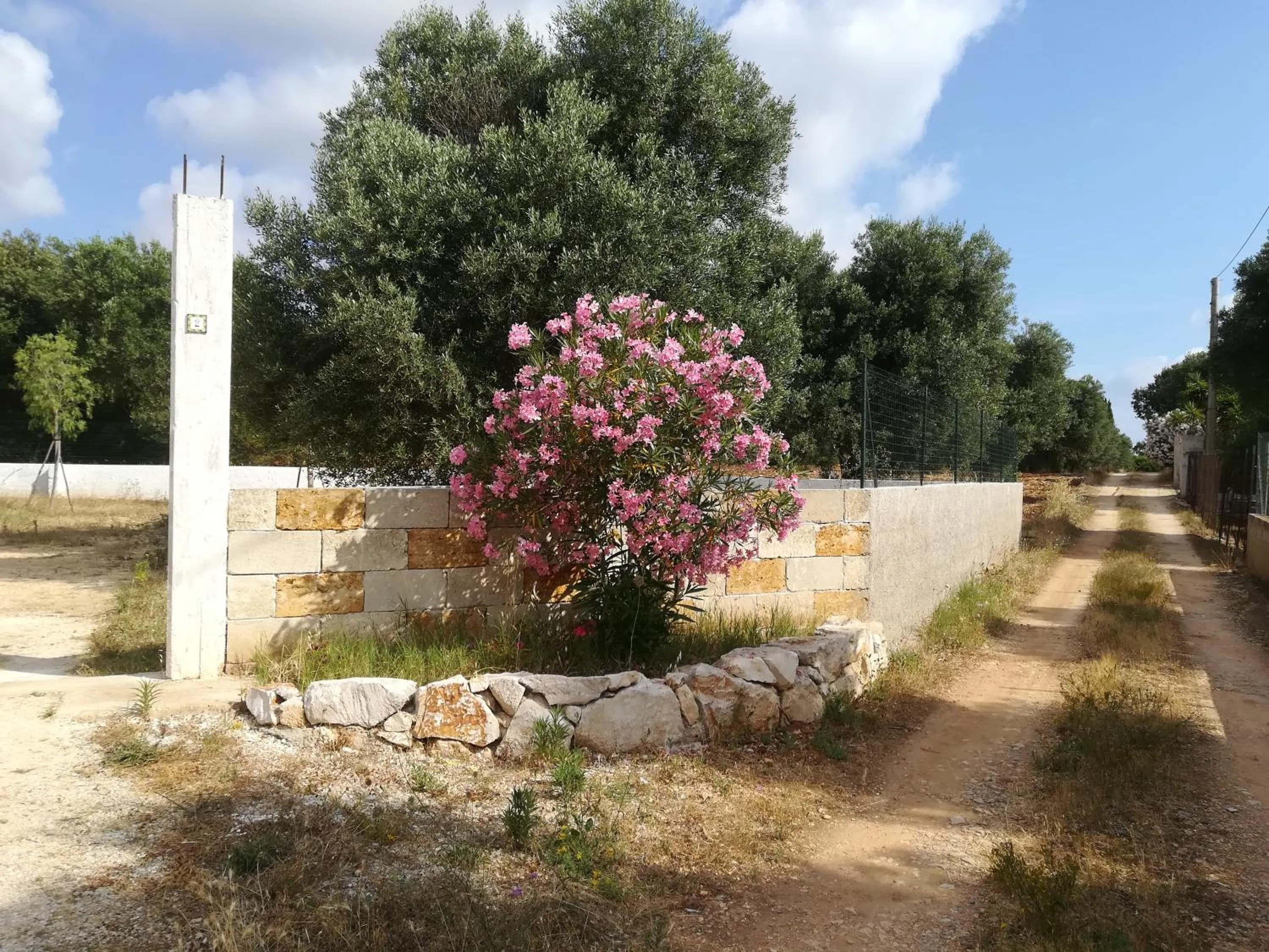Street view in Trullo Alessandro e Villa Raffaela