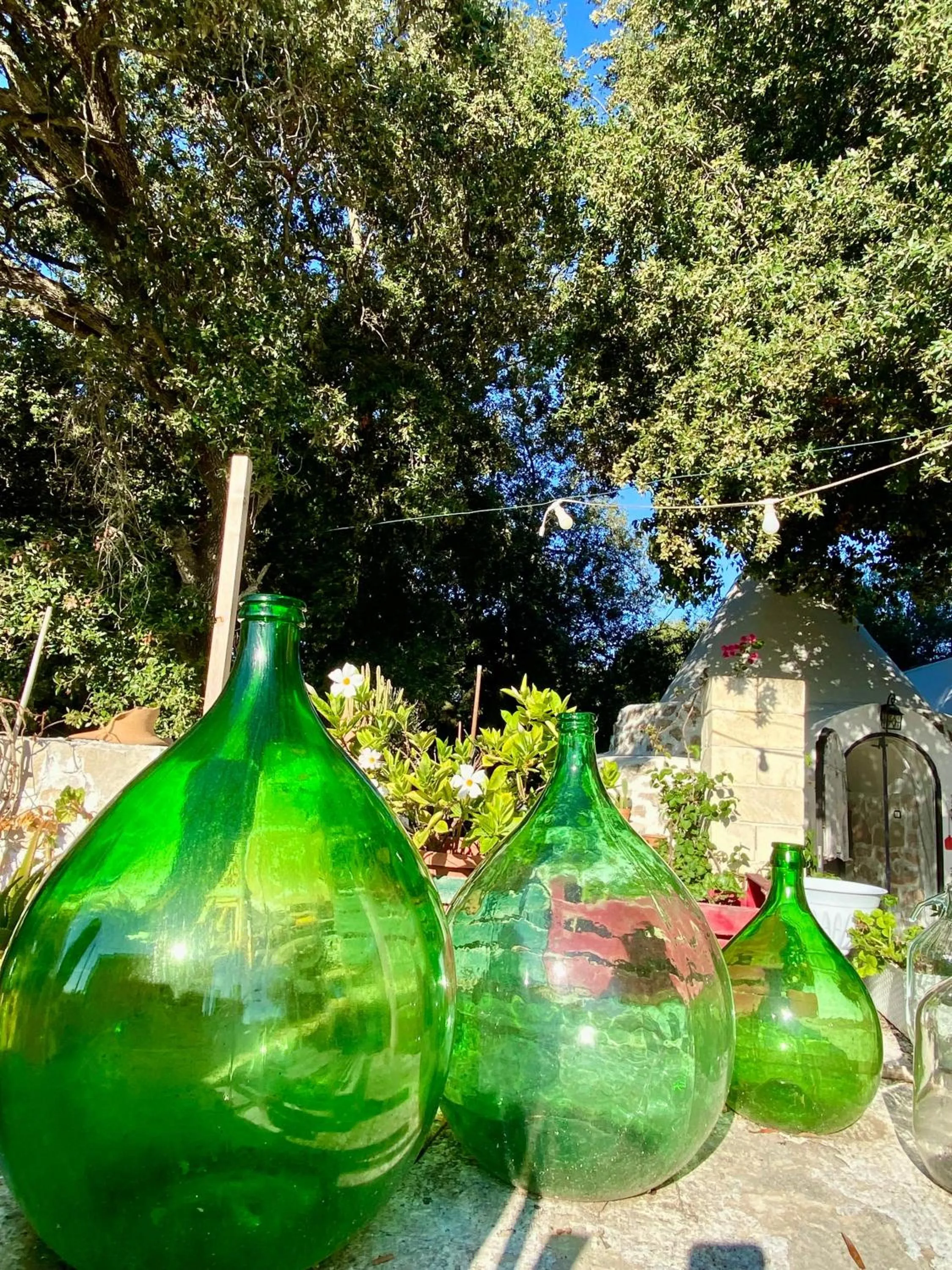 Garden view in Trullo Alessandro e Villa Raffaela