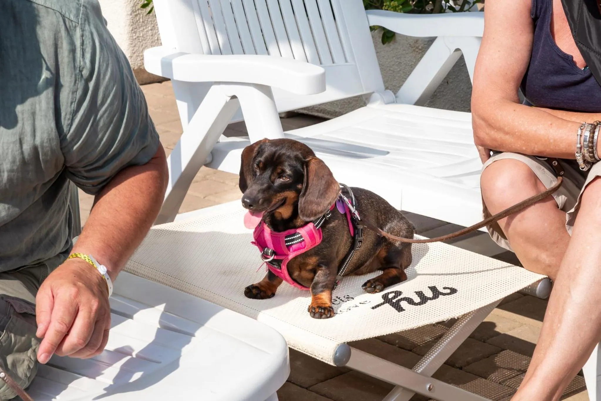 hu Venezia Camping in Town