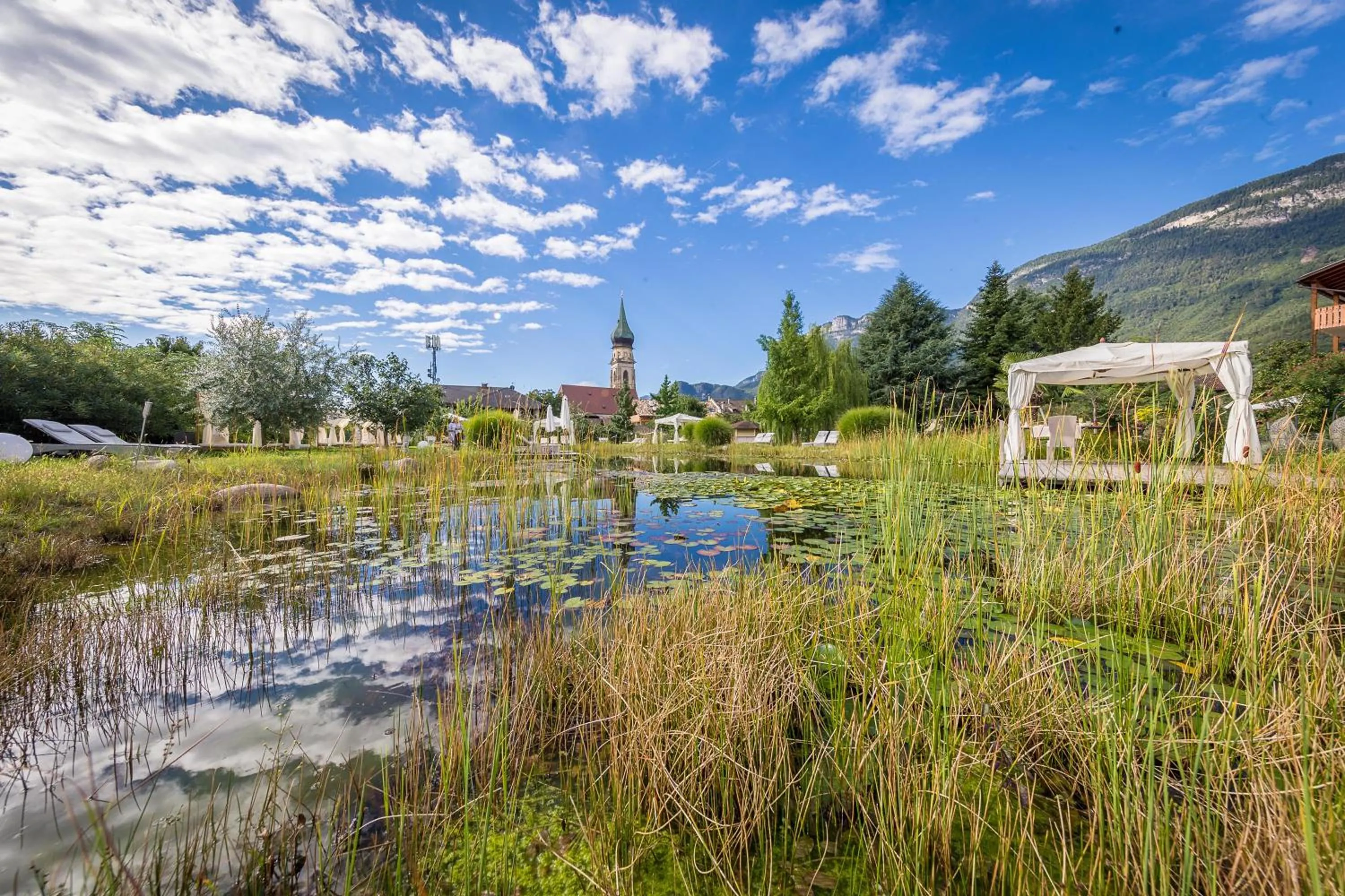Garden in Hotel Weingarten