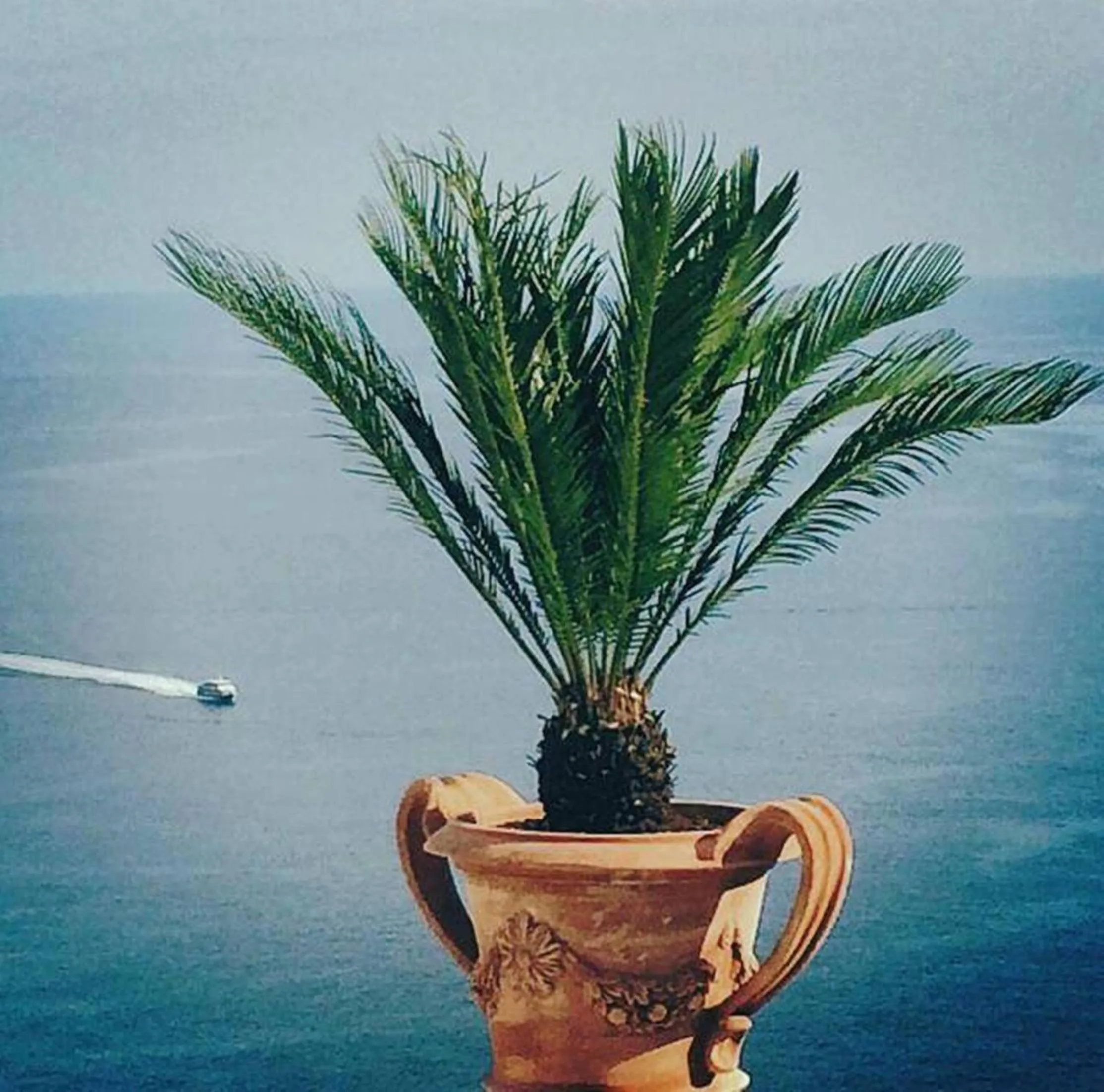 Other in Palazzo Marzoli charme Resort - Small Luxury Hotel