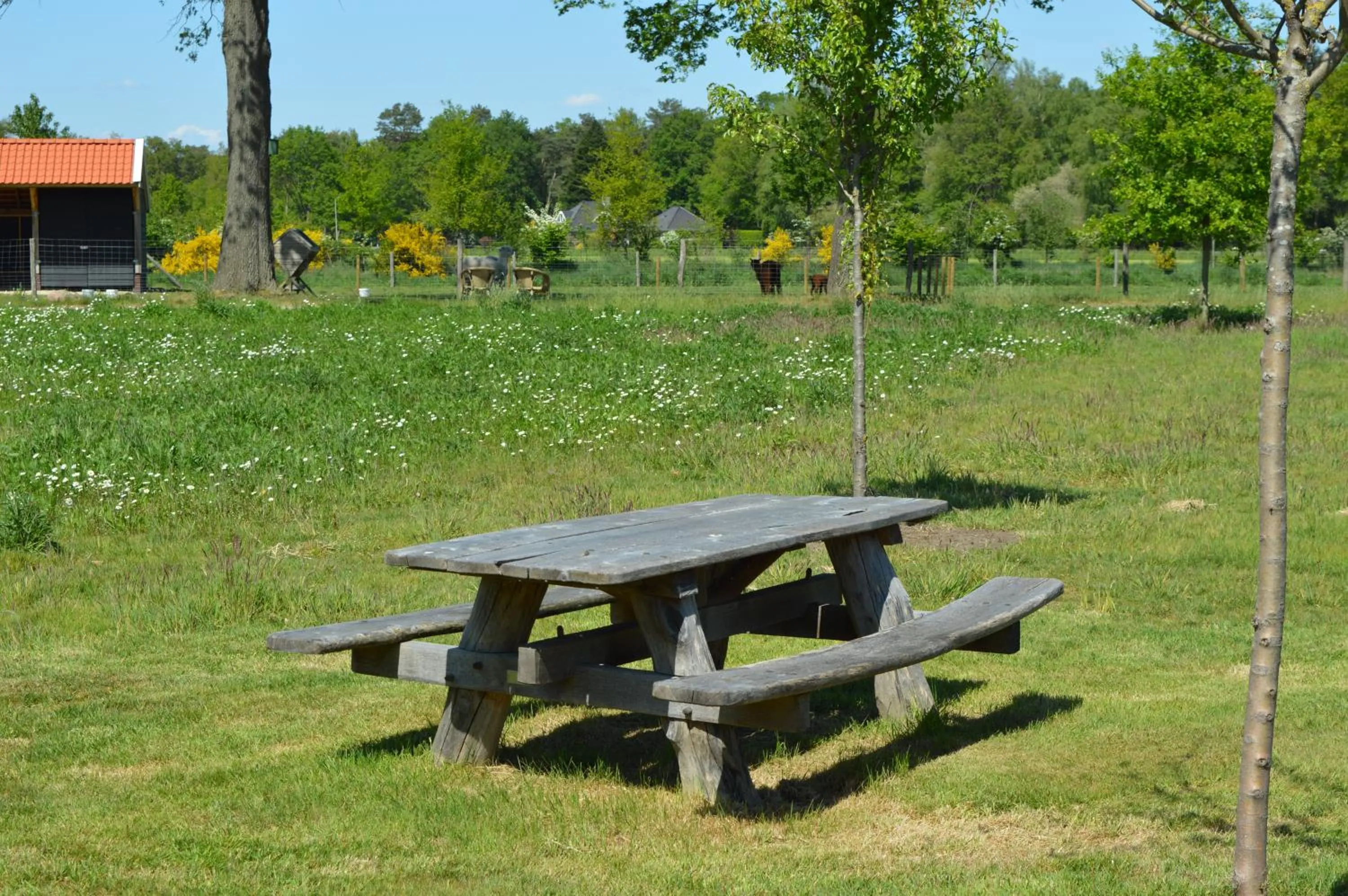 Garden in Erve Grootenhuys