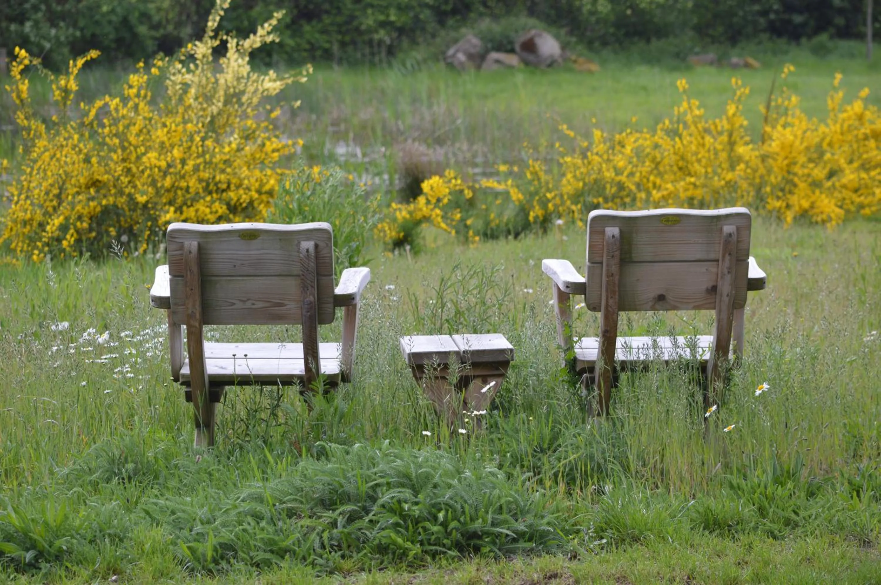 Natural landscape in Erve Grootenhuys