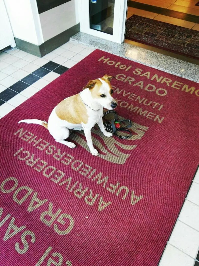 Pets in Hotel Residence Sanremo