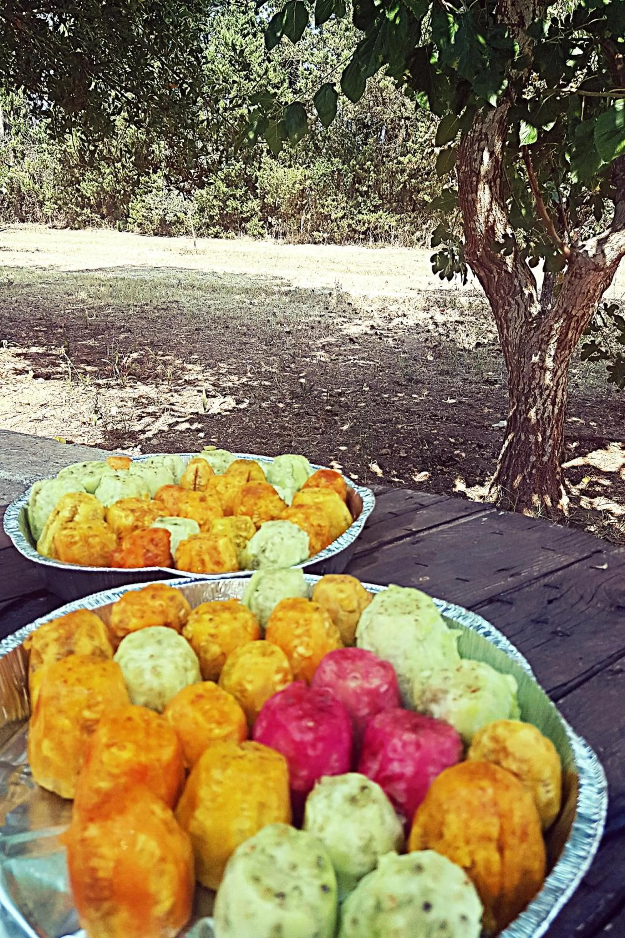 Natural landscape in Il Casale dei Principi