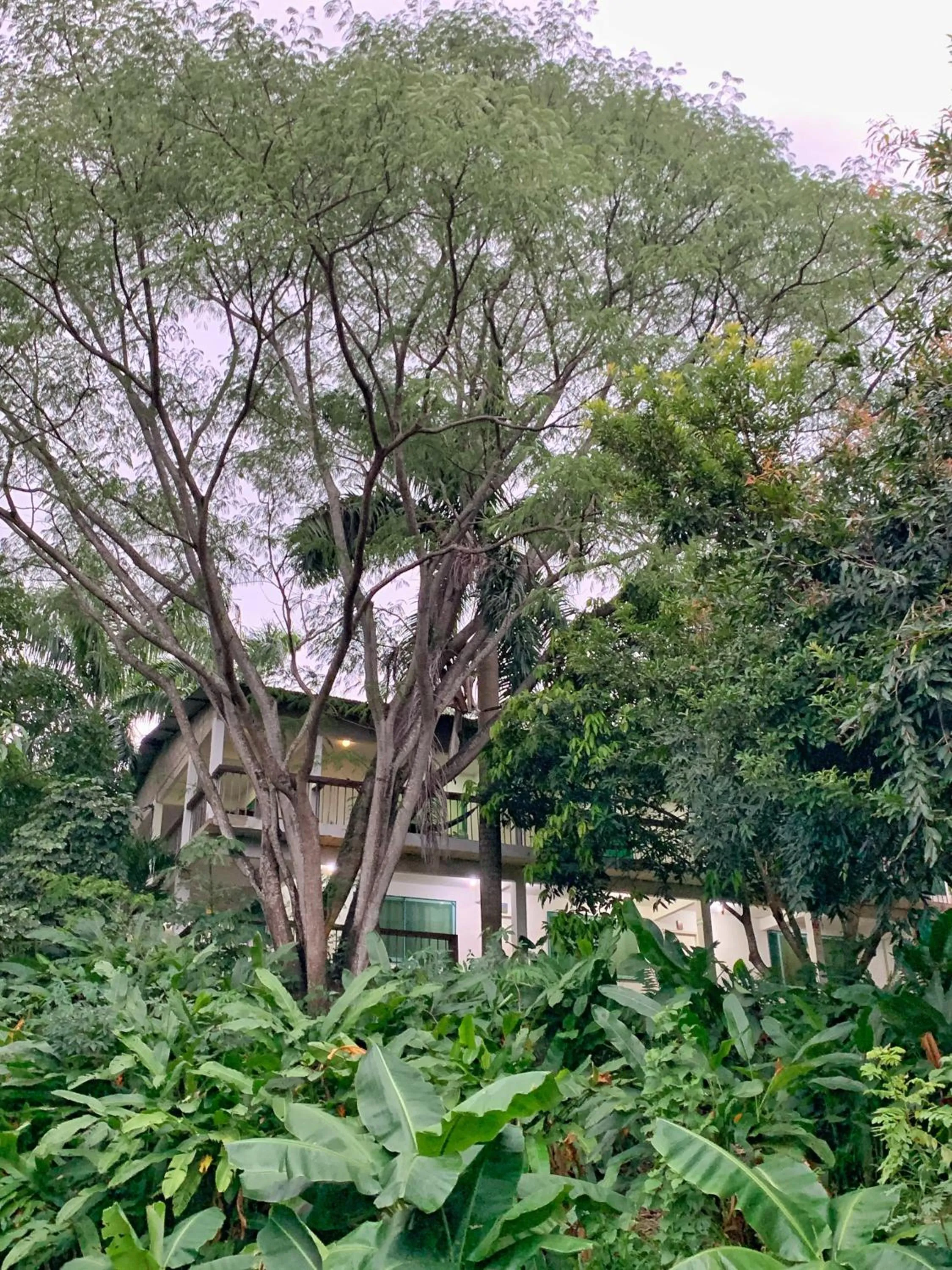 Property building in Hotel La Casablanca Tayrona