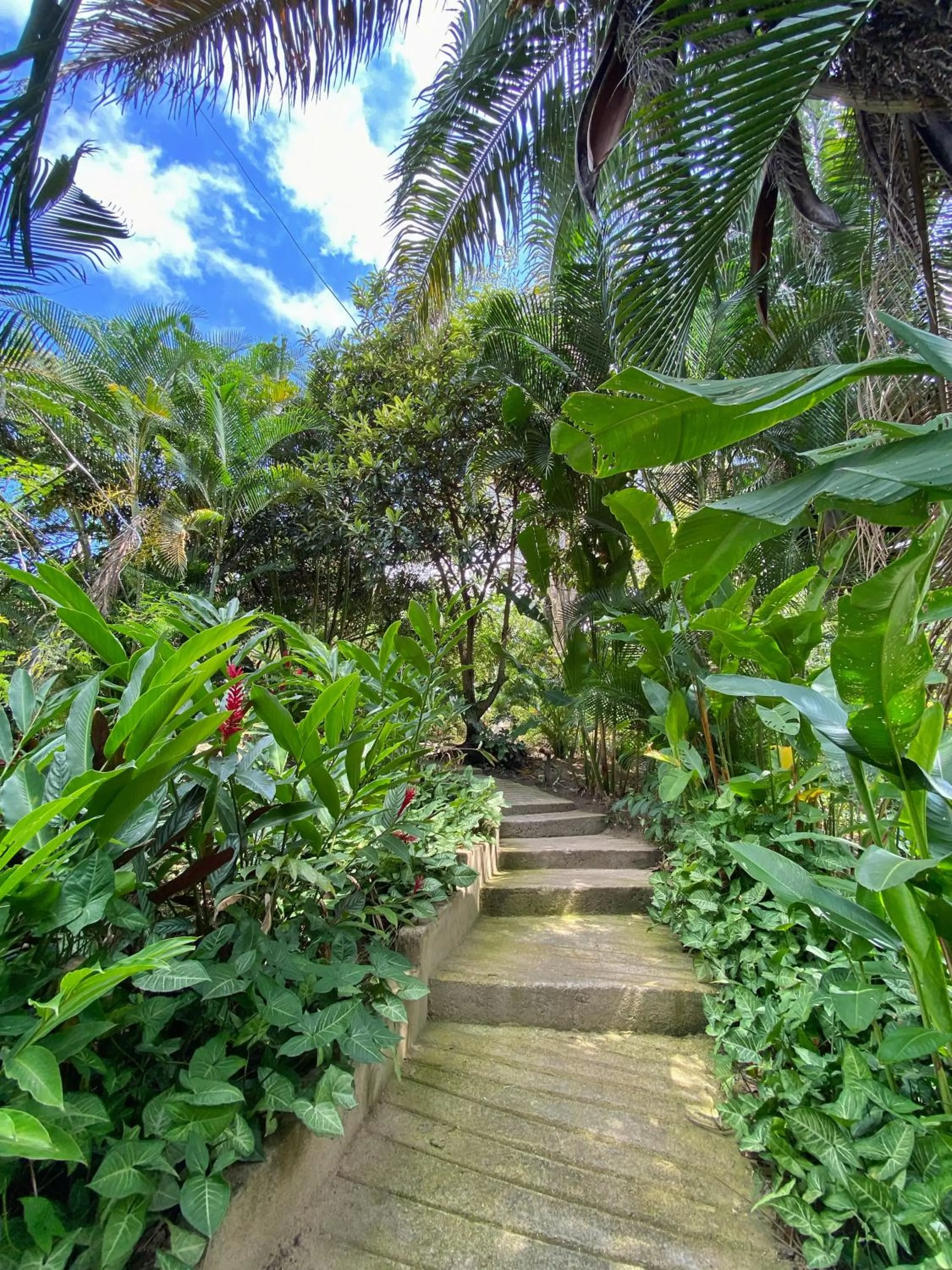 Natural landscape in Hotel La Casablanca Tayrona