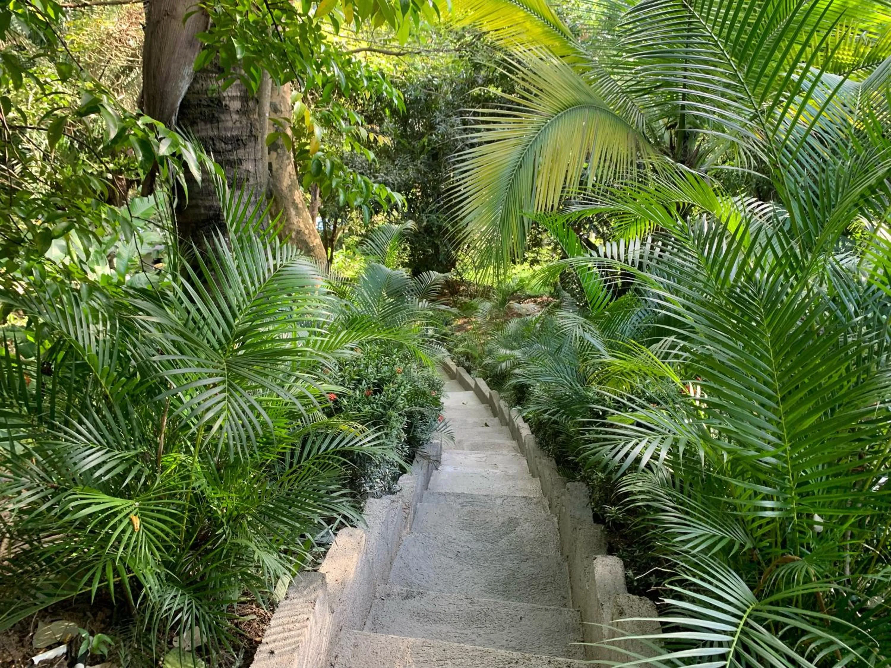Natural landscape in Hotel La Casablanca Tayrona