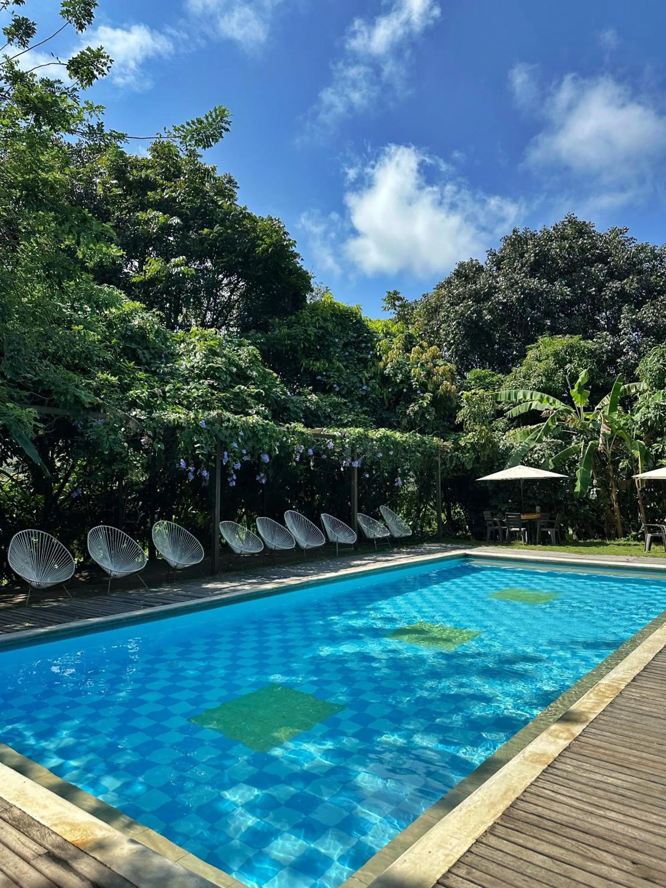 Garden in Hotel La Casablanca Tayrona