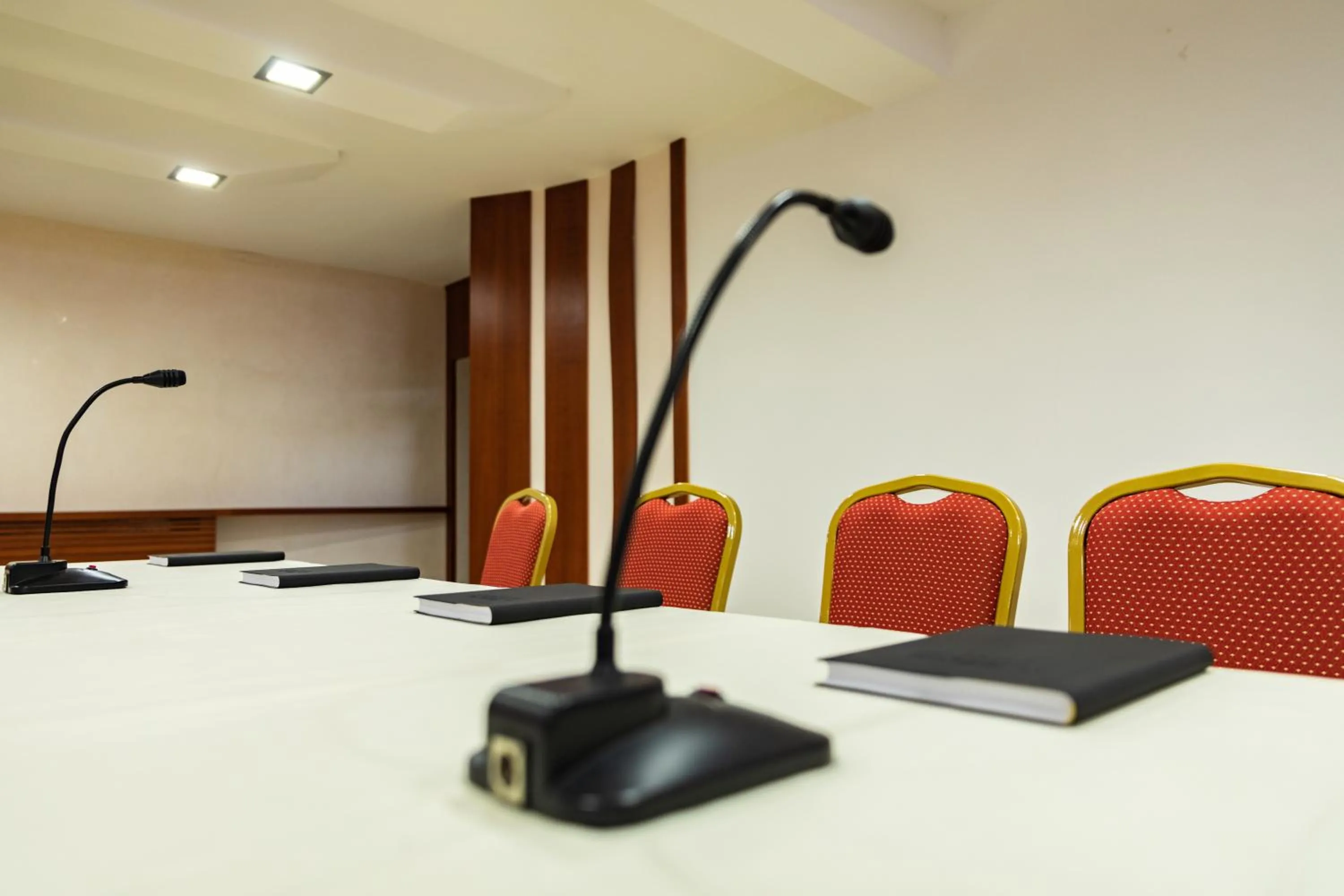 Business facilities in Hotel Villa Venus Resort & SPA