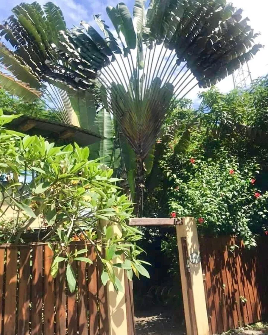 Facade/entrance in Hotel Tropical Sands Dominical
