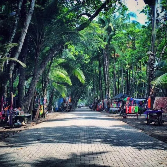 Natural landscape in Hotel Tropical Sands Dominical