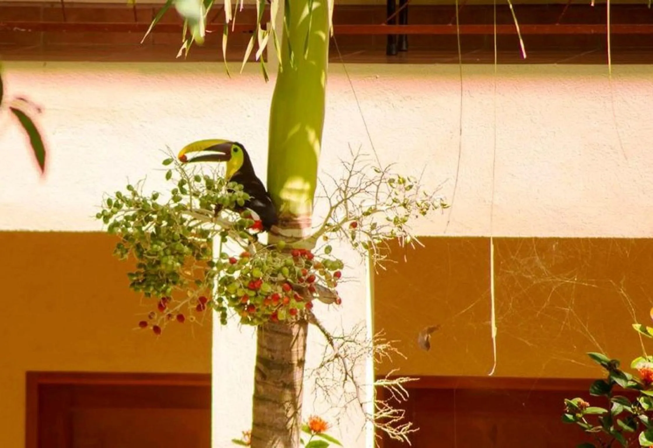 Property building in Hotel Tropical Sands Dominical