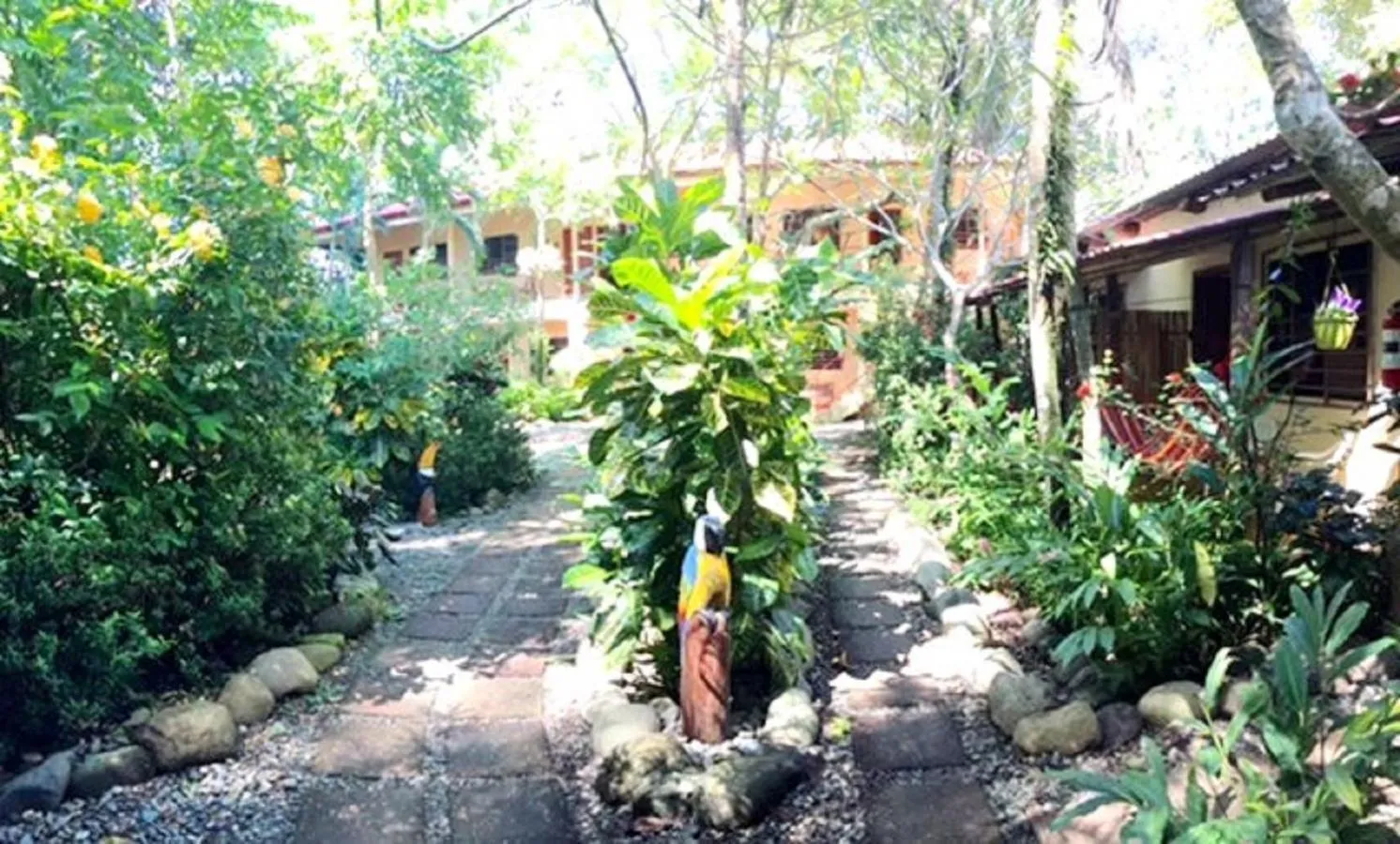 Day in Hotel Tropical Sands Dominical