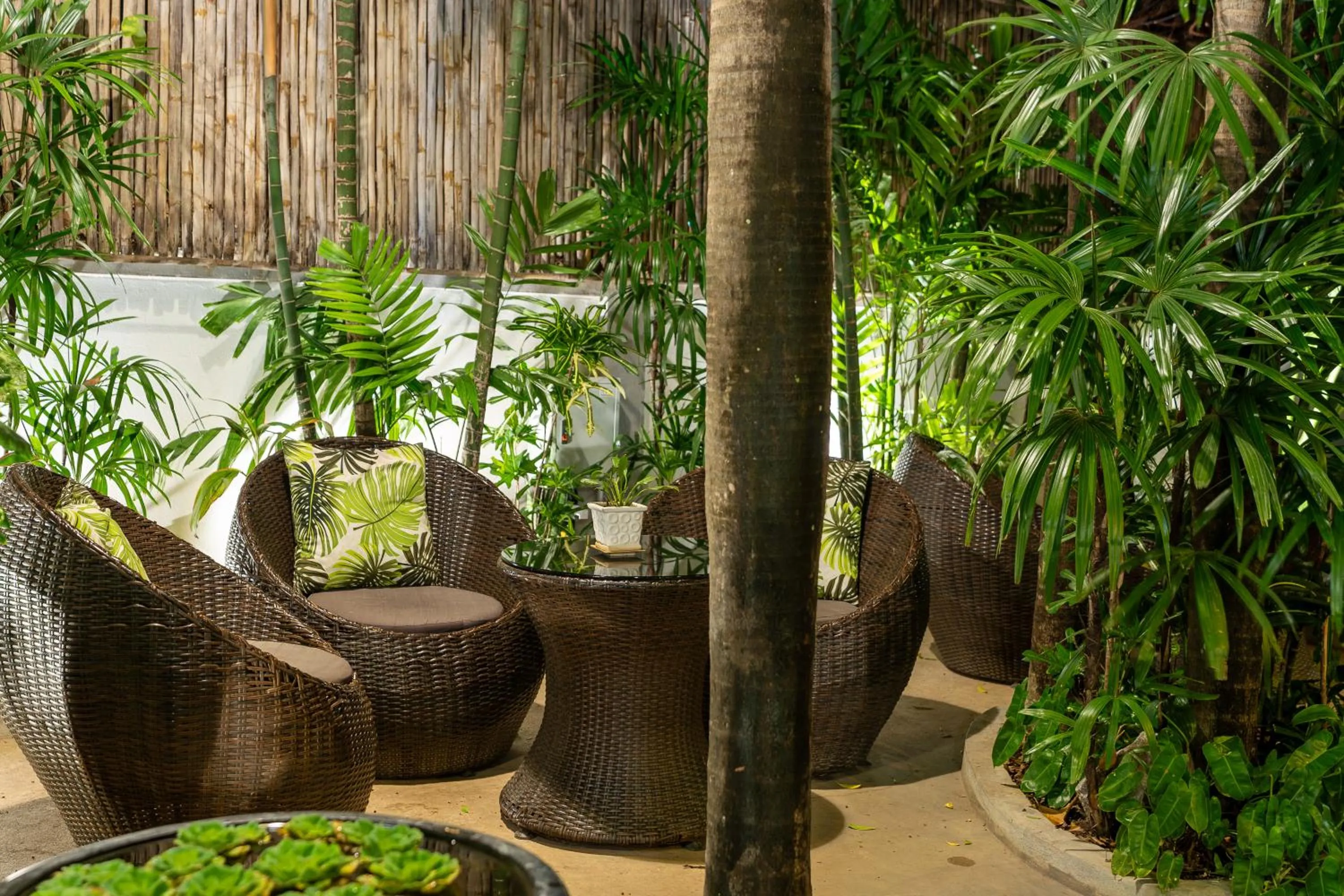 Garden in Villa D Riverside Boutique Hotel